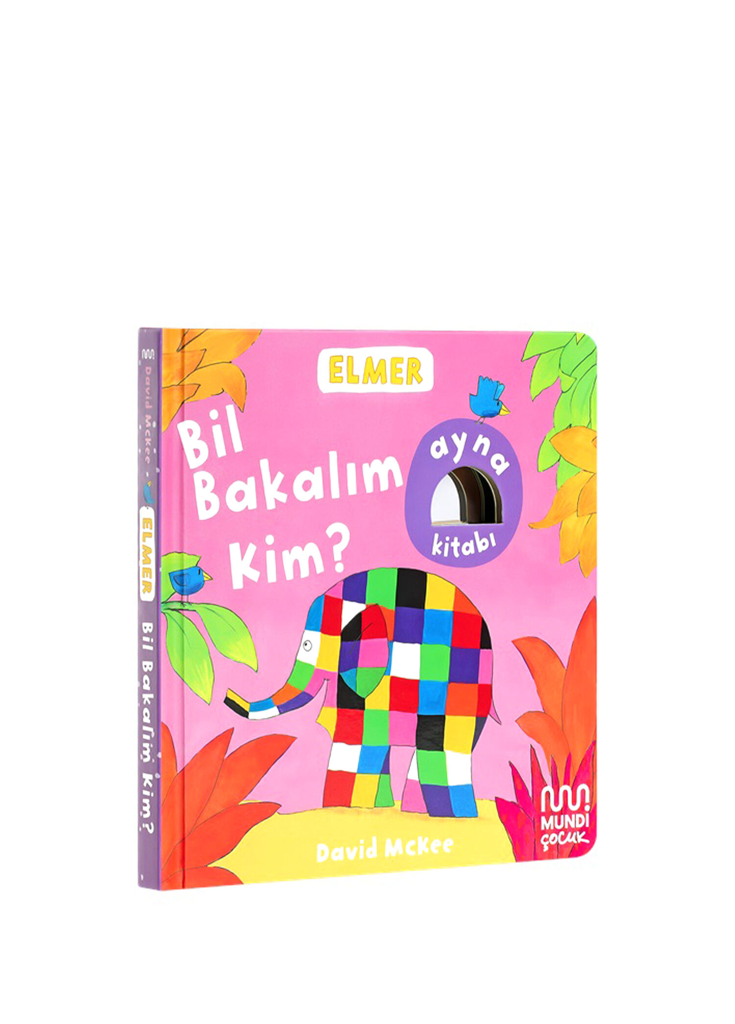 Elmer Kütüphanesi: Bil Bakalım Kim? Çocuk Aktivite Kitabı