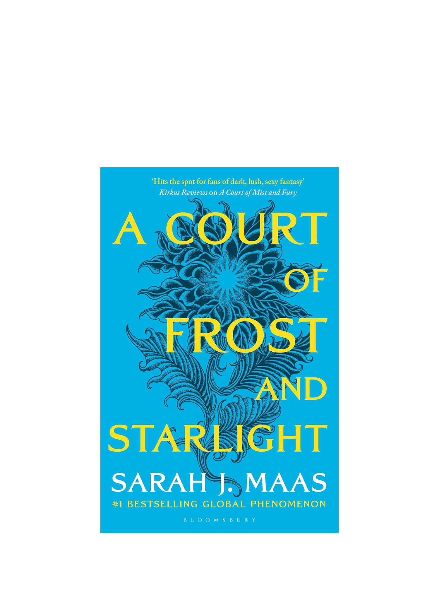 A Court of Frost And Starlight Yabancı Dil Kitabı