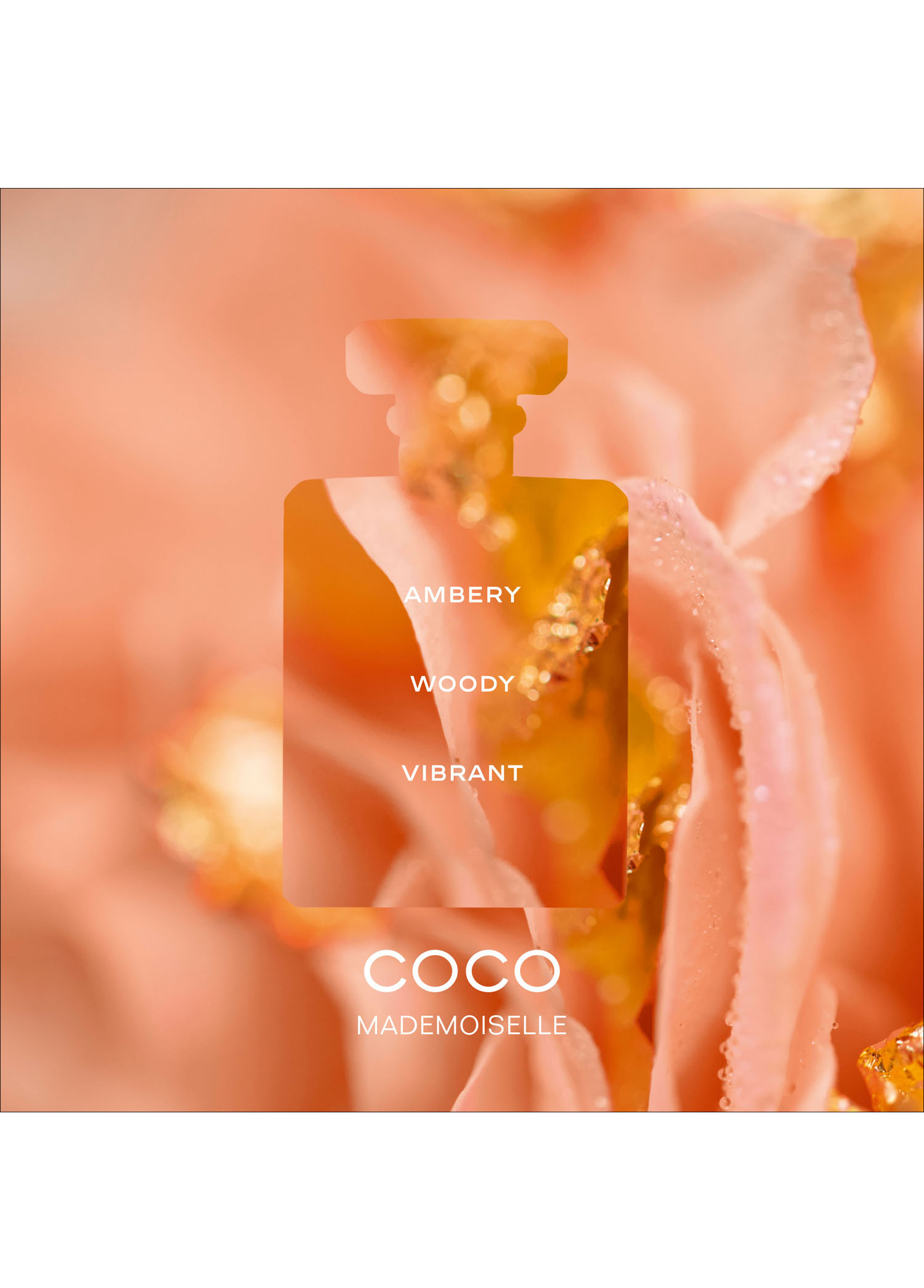 CHANEL - Coco Mademoiselle Eau De Parfüm Spray 50Ml -