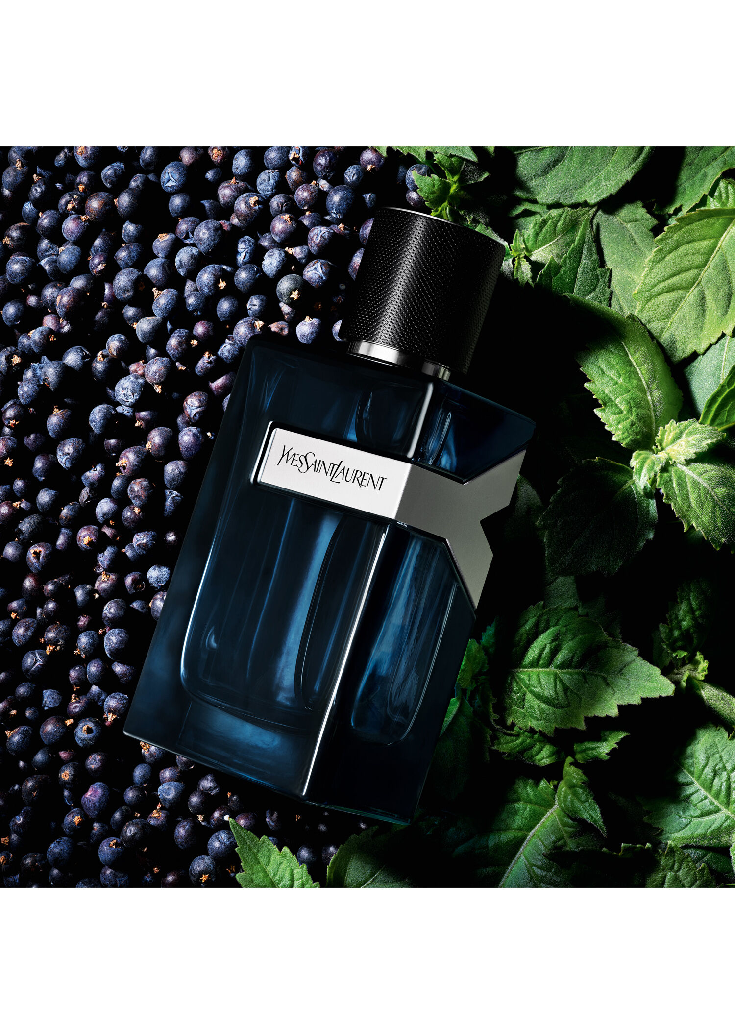 Yves Saint Laurent - Y EDP Intense 60 ml -
