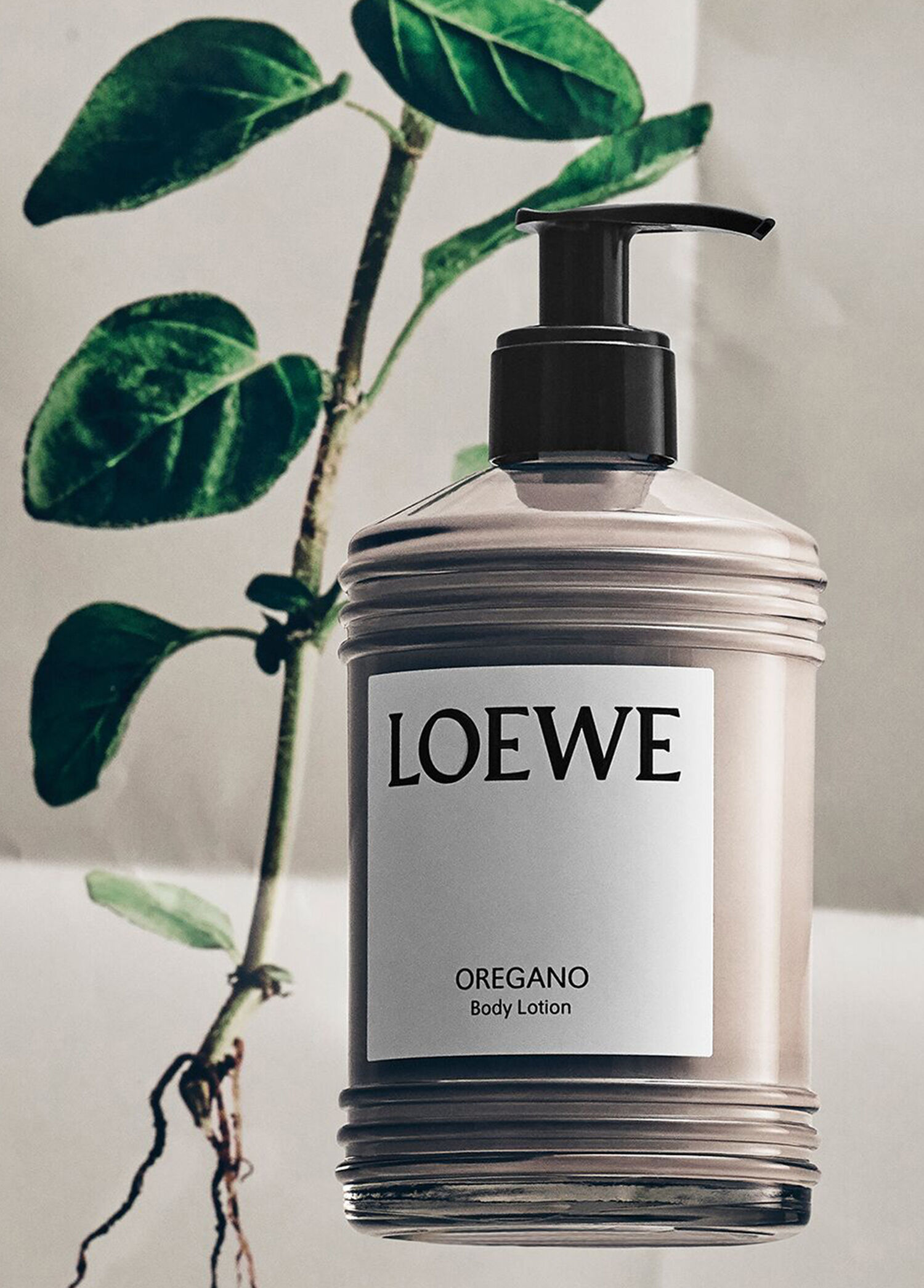 Loewe - Oregano Body Lotion -