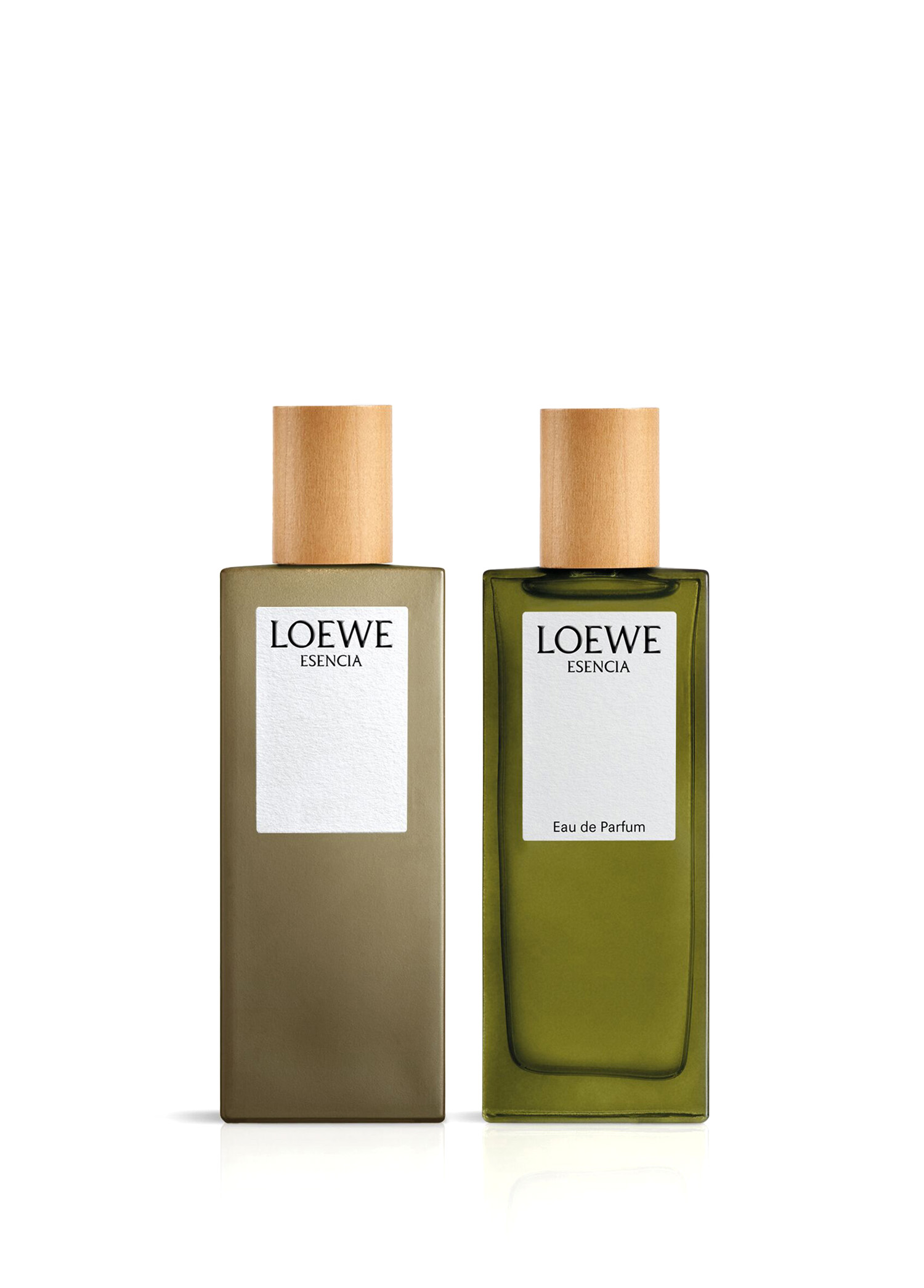 Loewe - Essencia EDP 50 ml Erkek Parfüm -