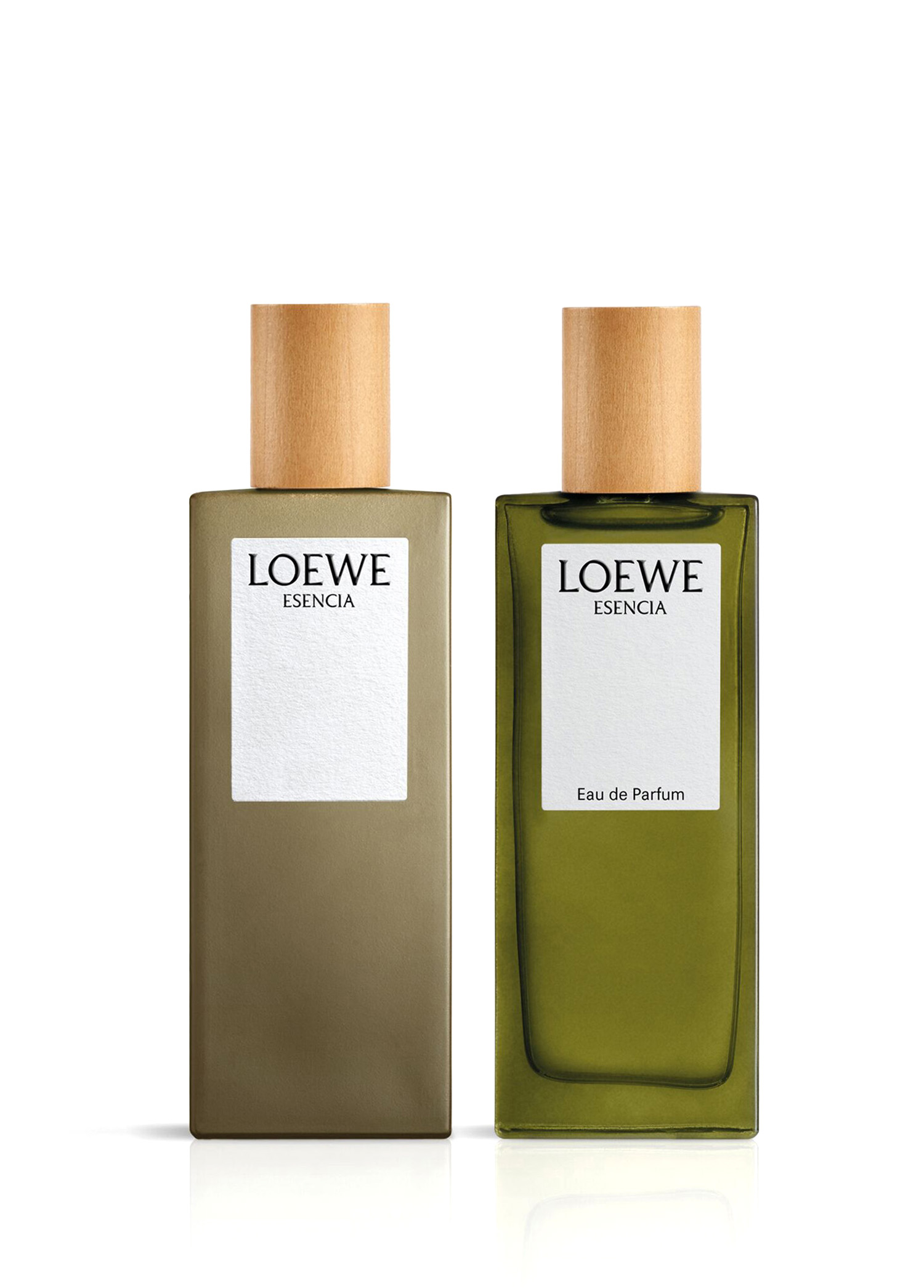 Loewe Essencia Edp 100 ml Men's Perfume