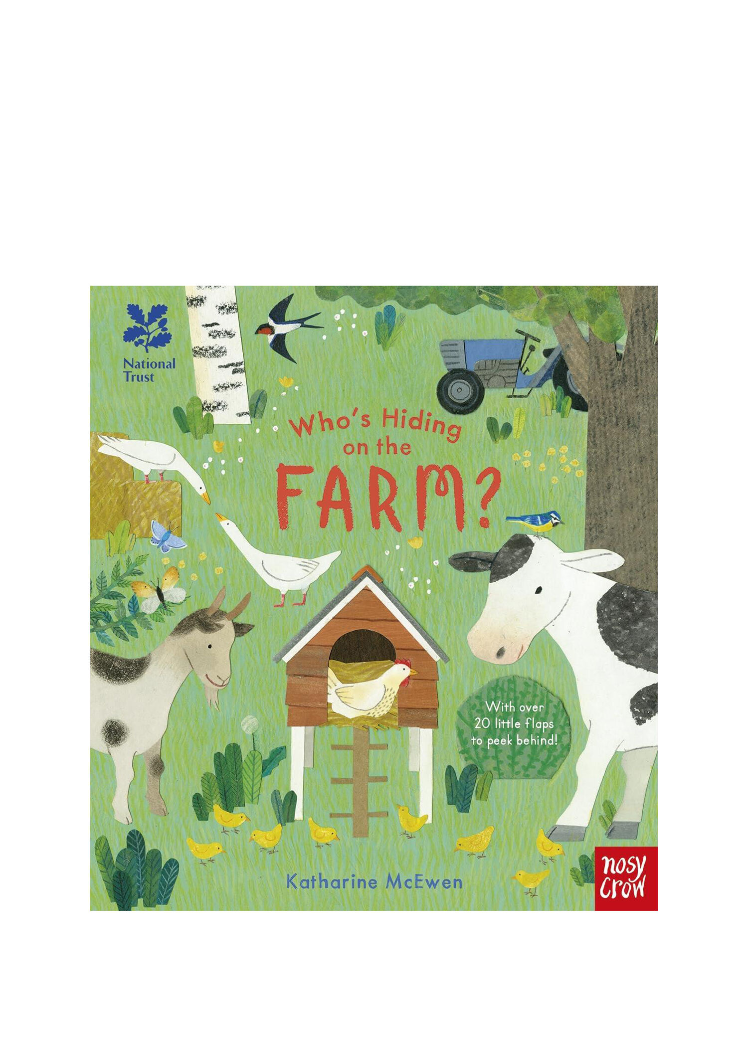 Who's Hiding on the Farm? Çocuk Yabancı Dil Kitabı