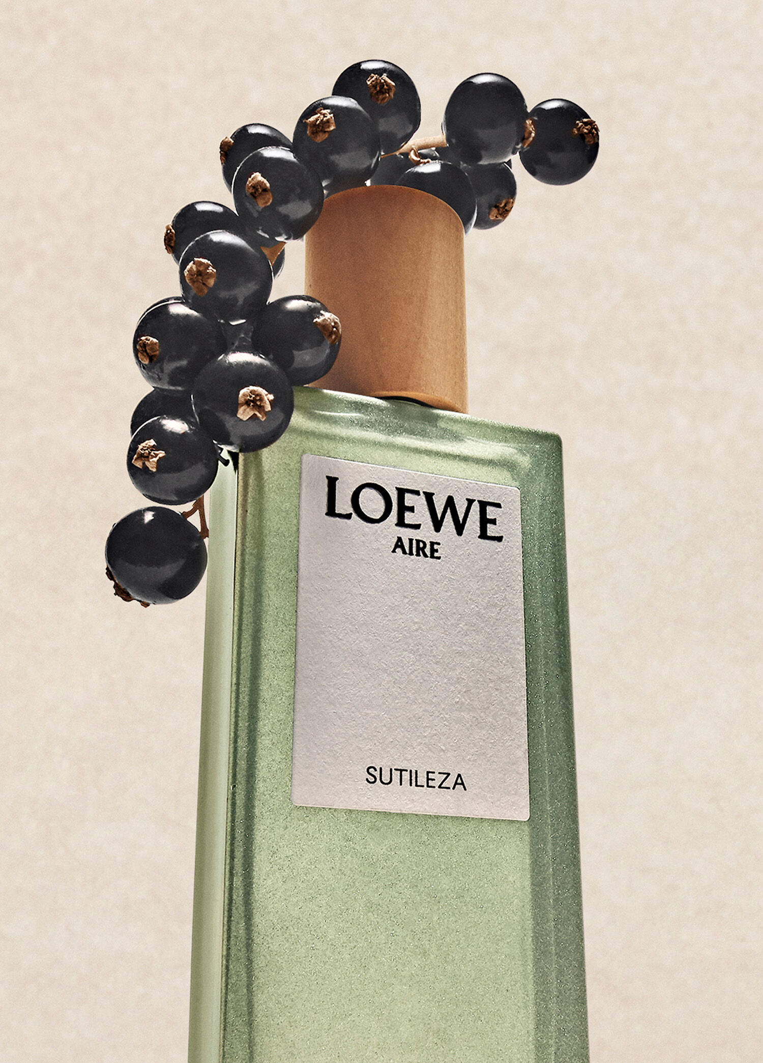 Loewe - Aire Sutileza EDT 100 ml Kadın Parfüm -