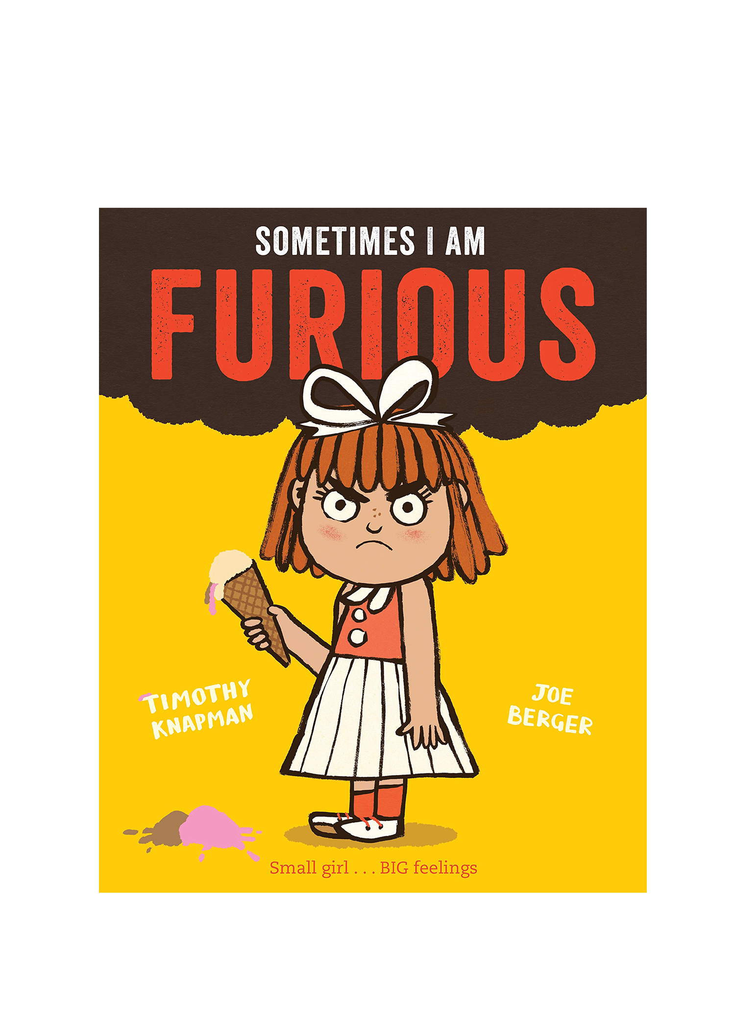 Sometimes I Am Furious Book