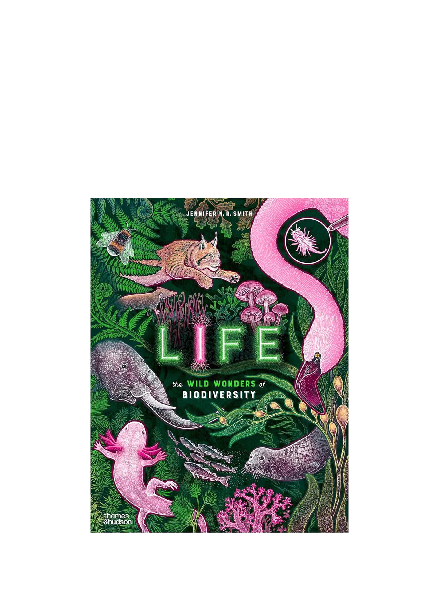 Life Çocuk Kitap