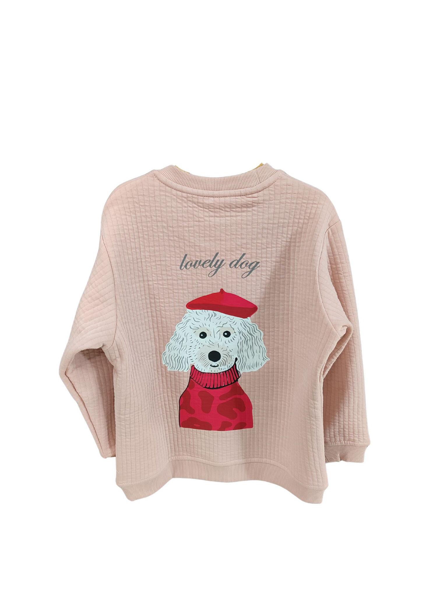 Lovely Dog Somon Kapitone Kız Çocuk Sweatshirt