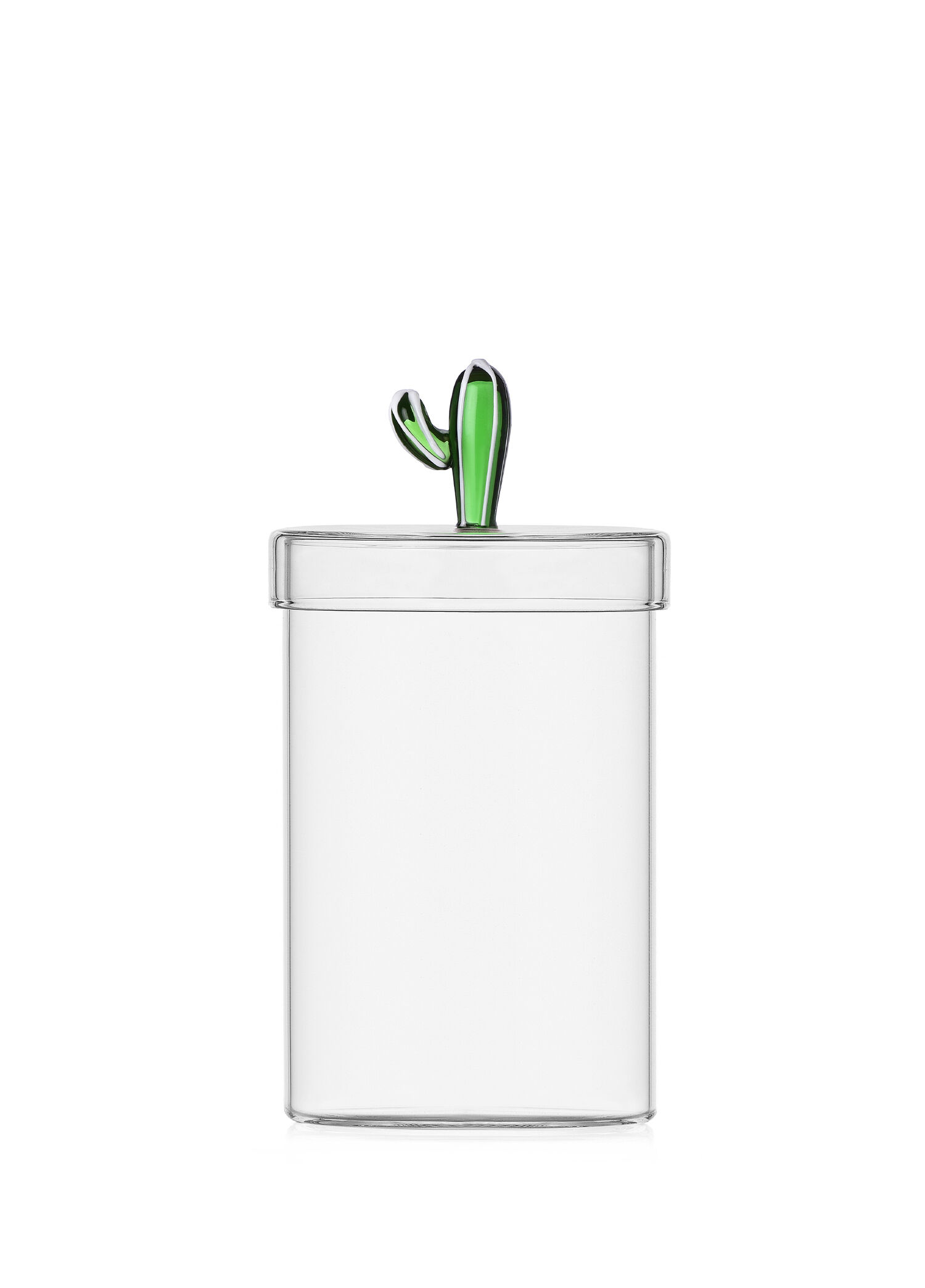Desert Plants Yeşil Kaktüs Figürlü Cam Saklama Kabı