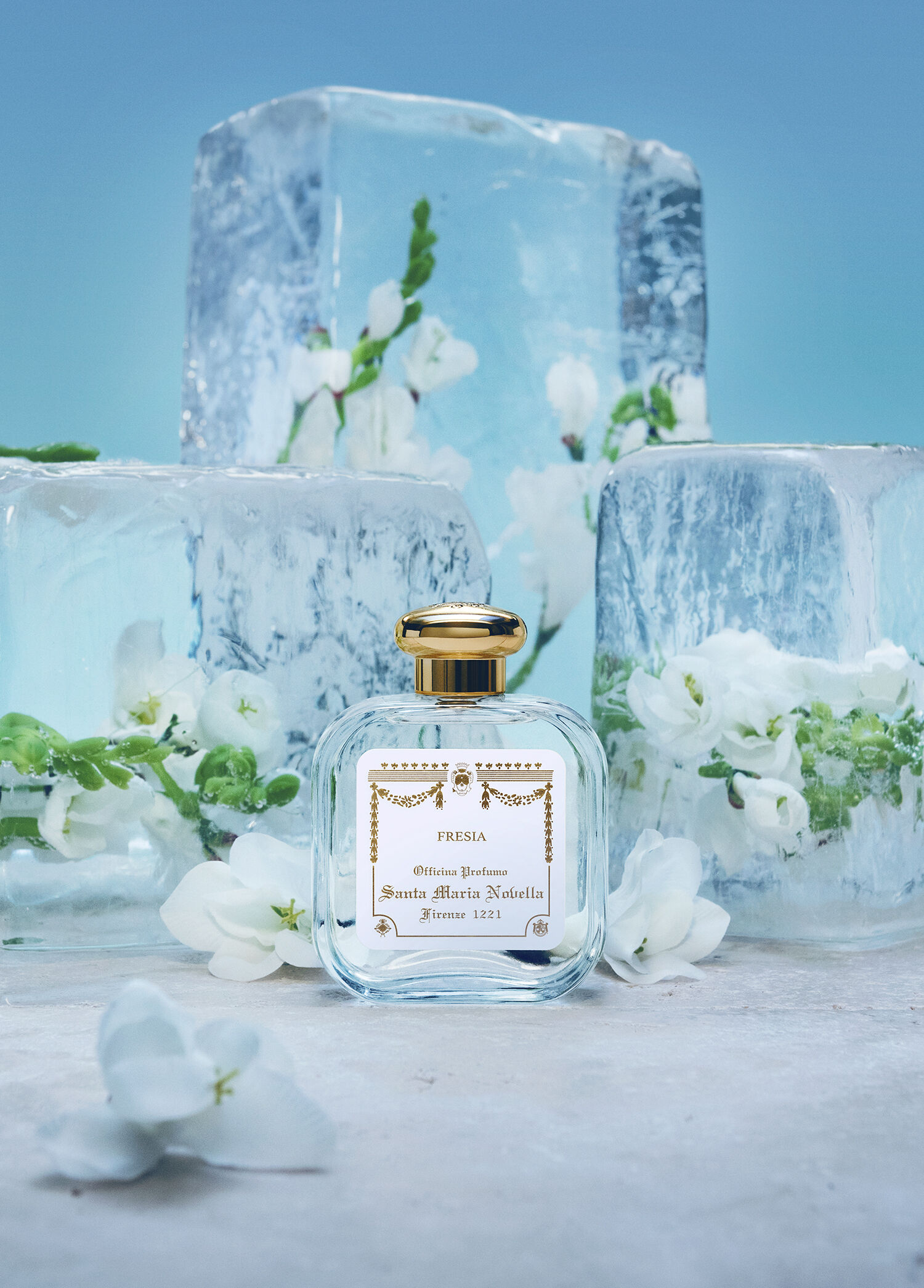 Santa Maria Novella - Fresia Firenze 1221 100 ml -