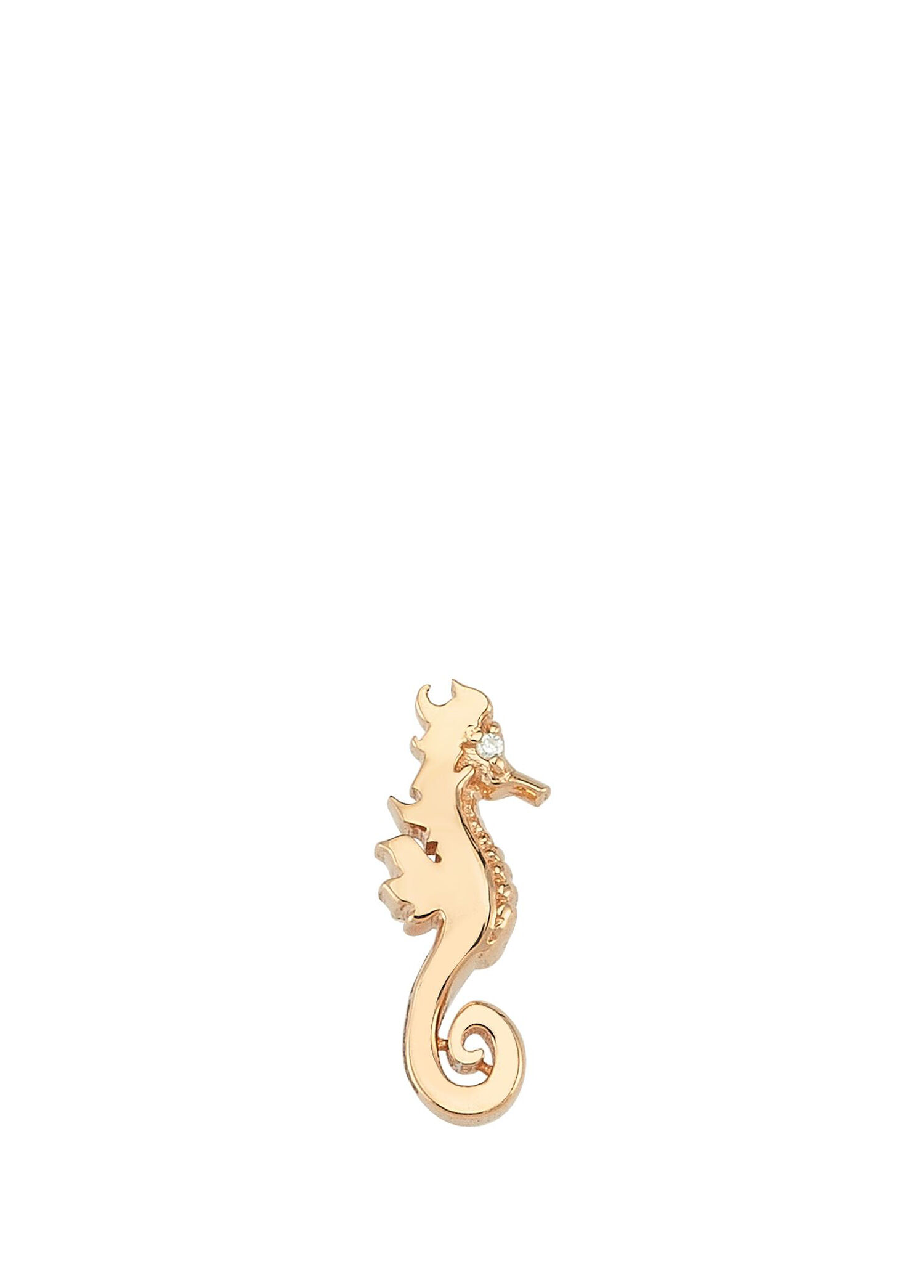 Sea Horse Kadın Altın Küpe