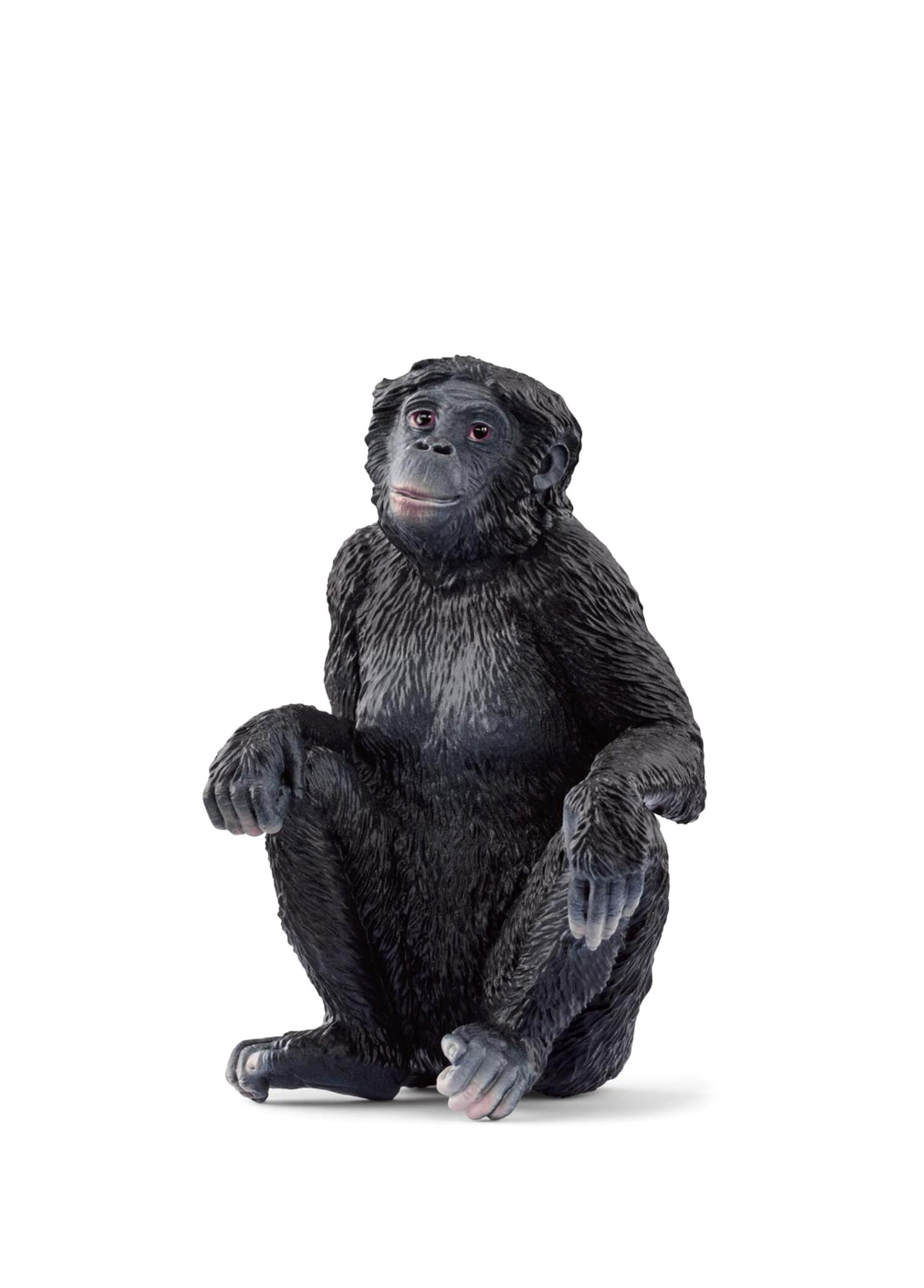 Dişi Bonobo Hayvan Figür Oyuncak