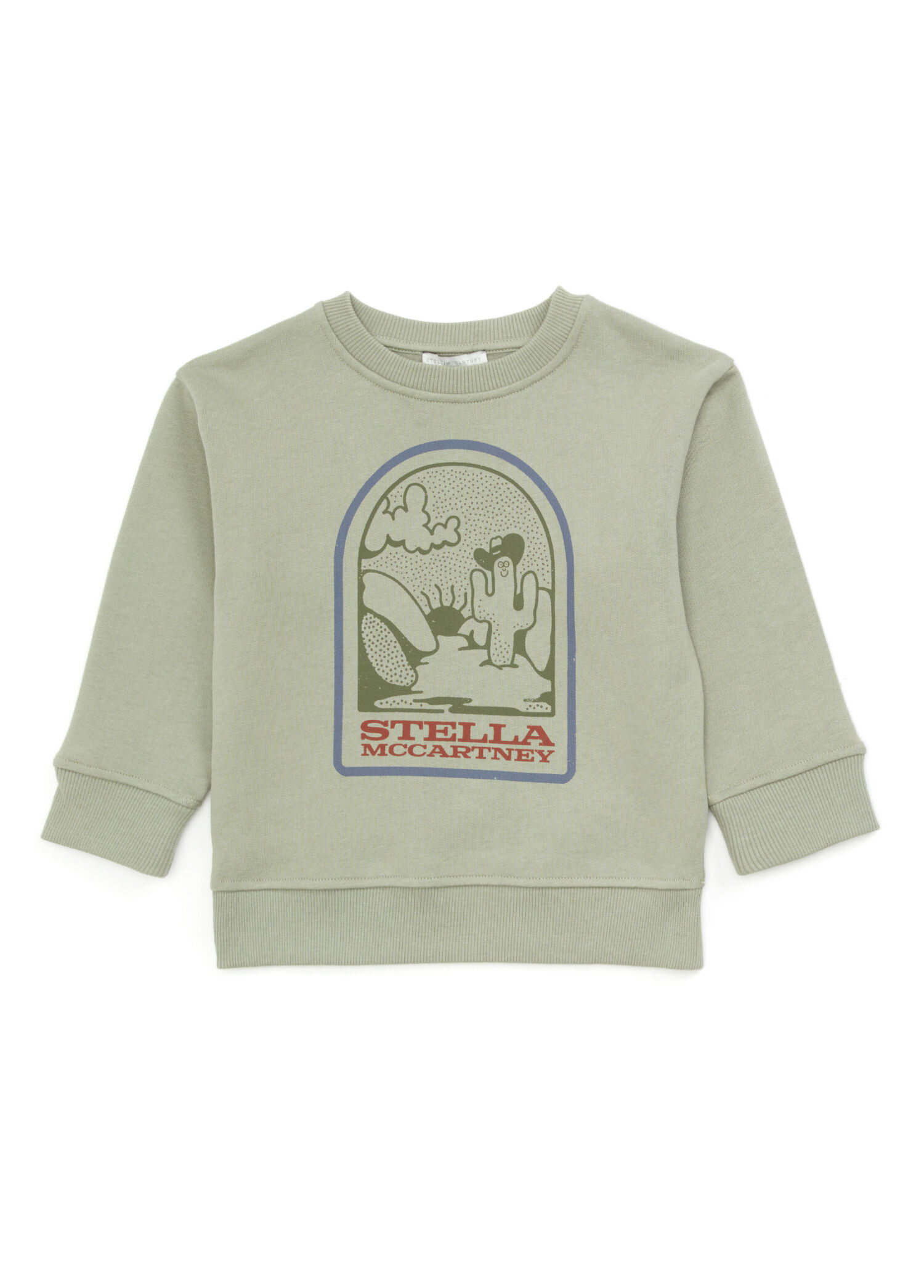 Yeşil Erkek Çocuk Sweatshirt