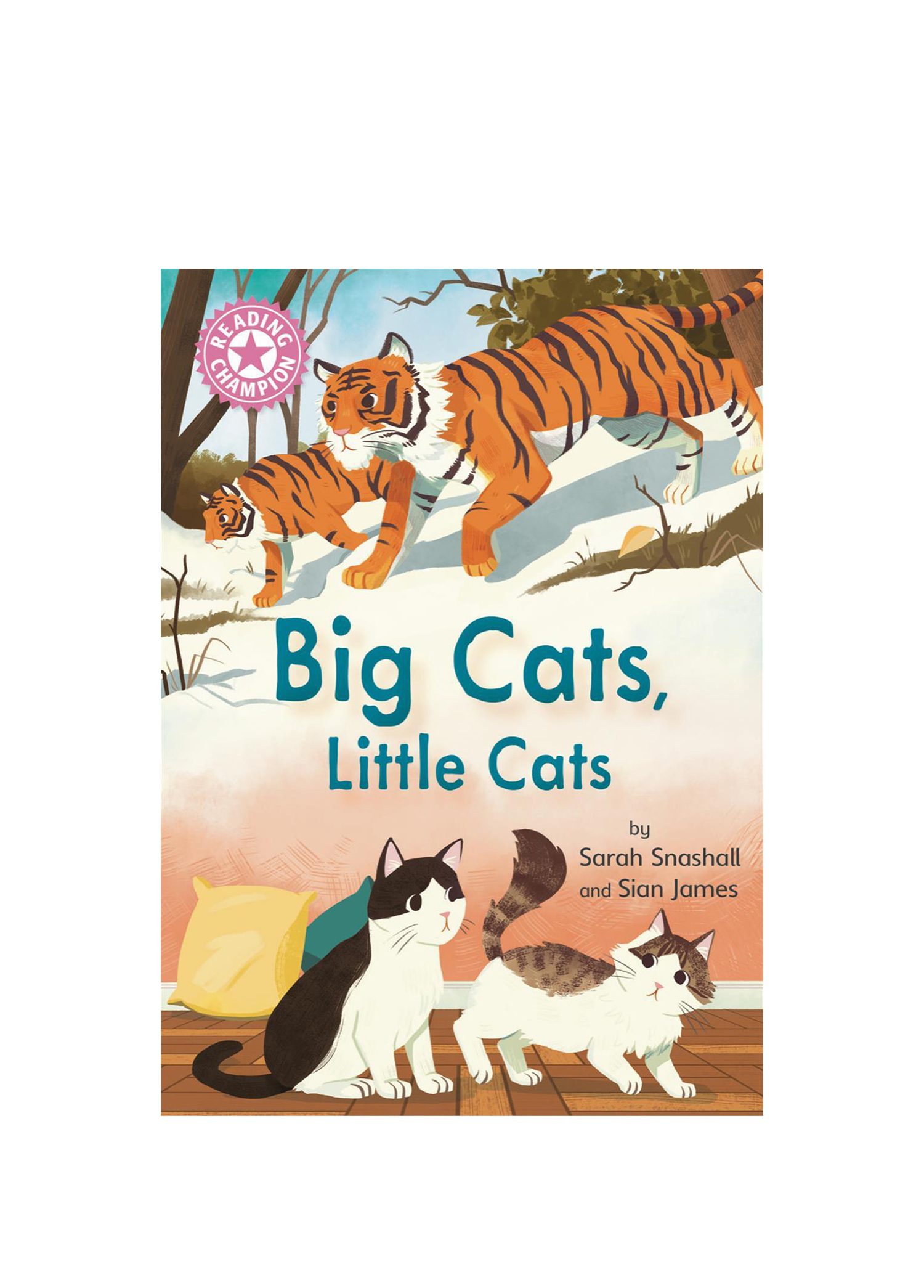 Reading Champion: Big Cats, Little Cats Çocuk Yabancı Dil Kitabı