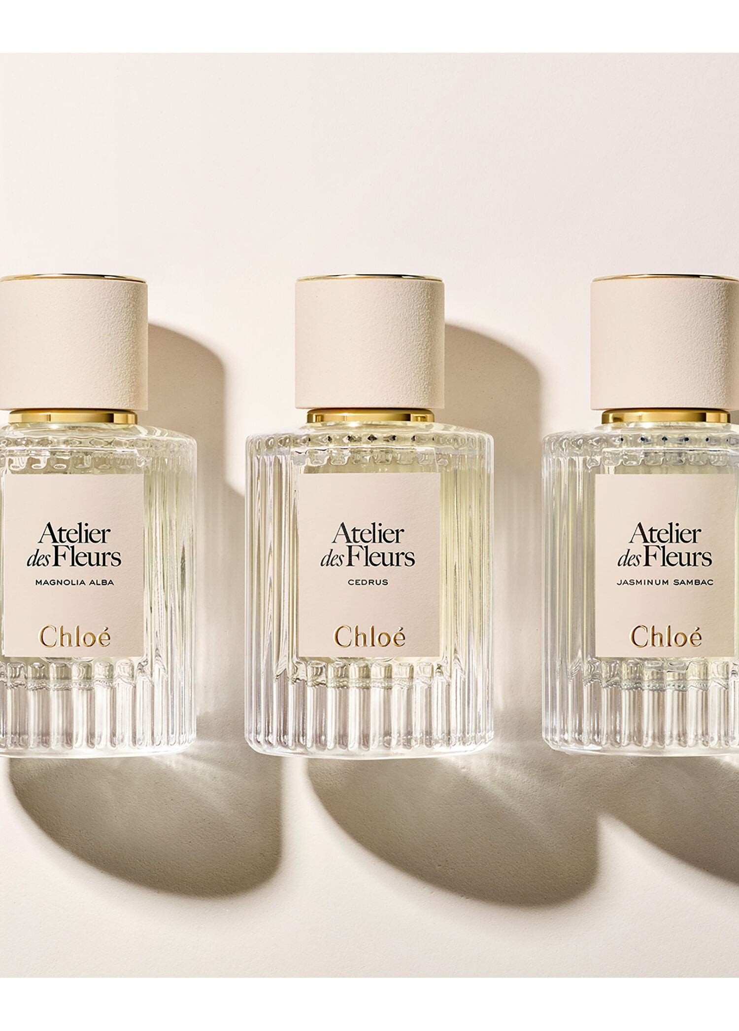 Chloe - Atelier des Fleurs Cedrus Edp 50 ML -