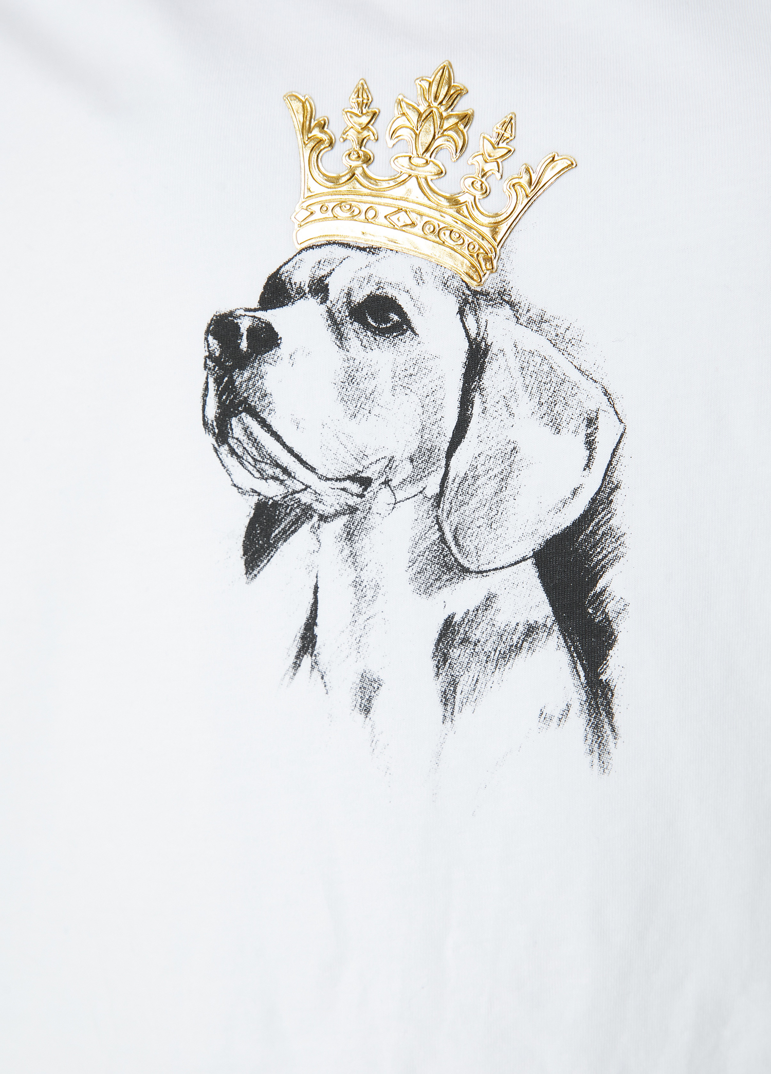 Kırık Beyaz Köpek Baskılı T-shirt_5