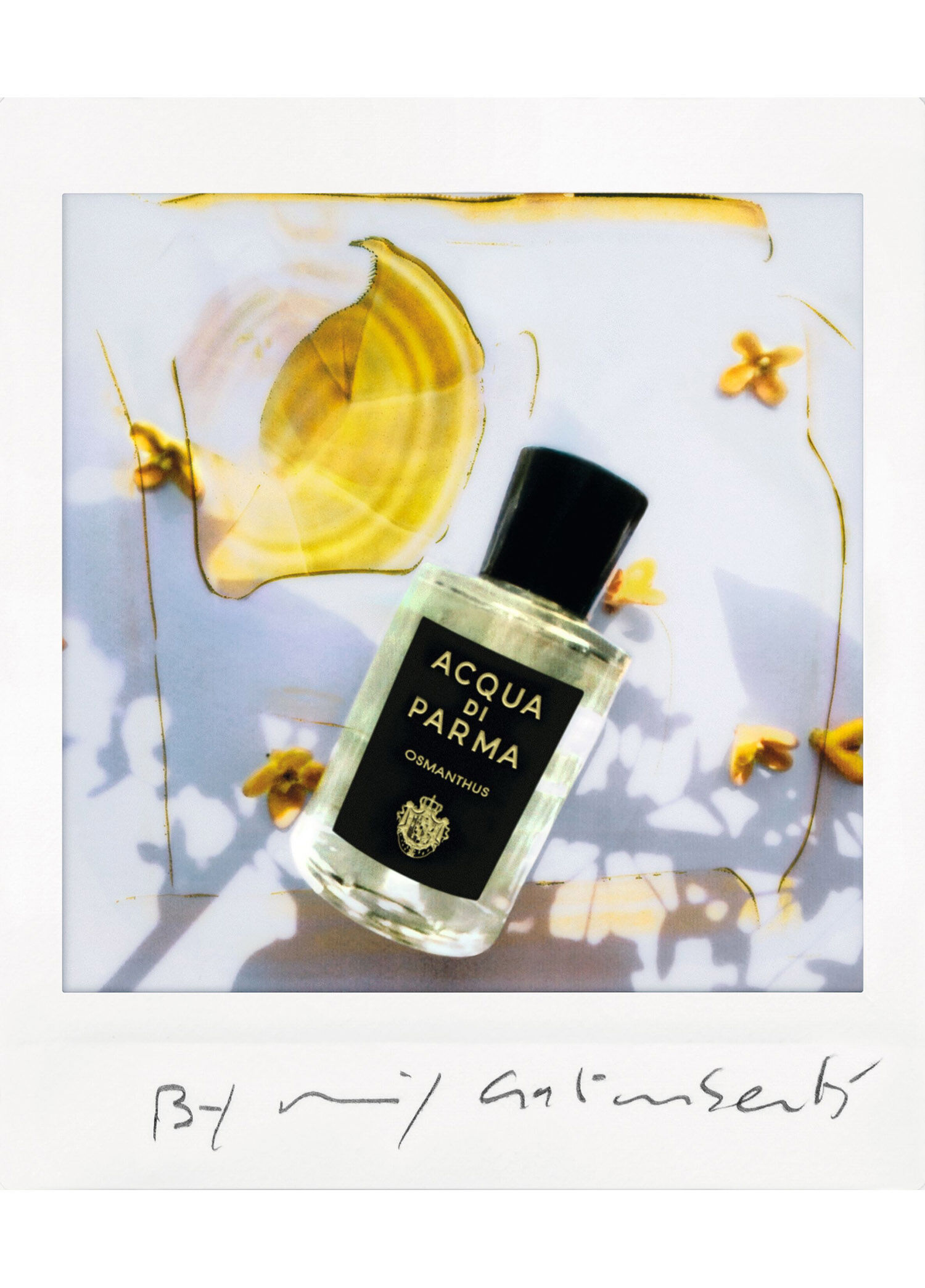 Acqua di Parma - Signature Osmanthus EDP 100 ml Parfüm -