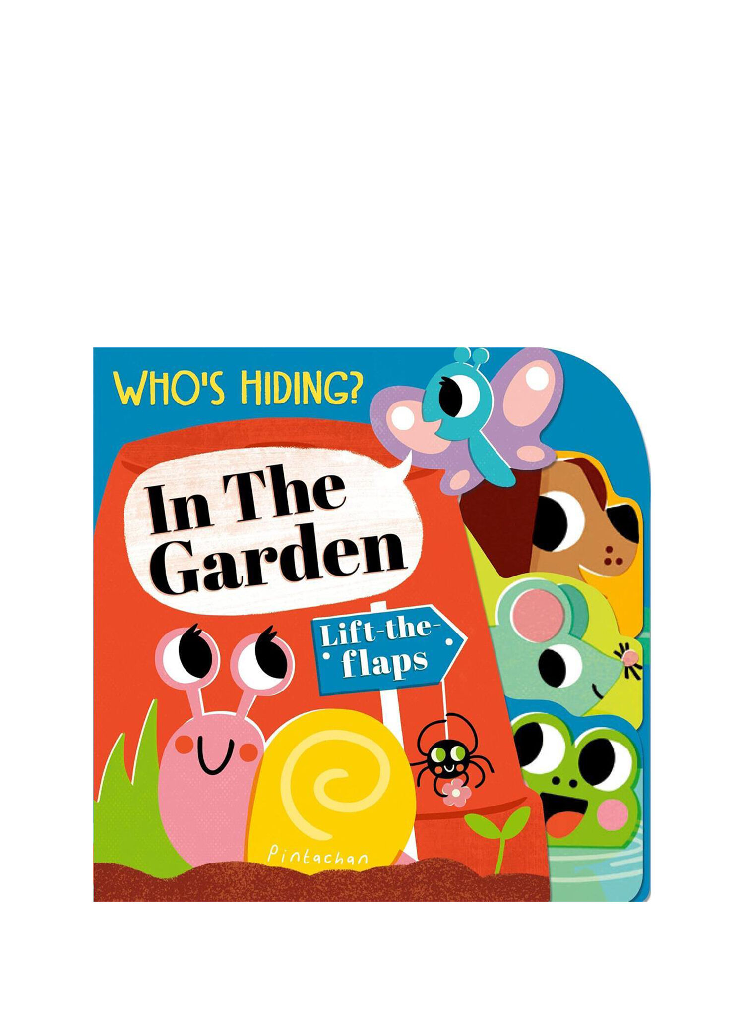 Who's Hiding?: In the Garden Çocuk Yabancı Dil Kitabı