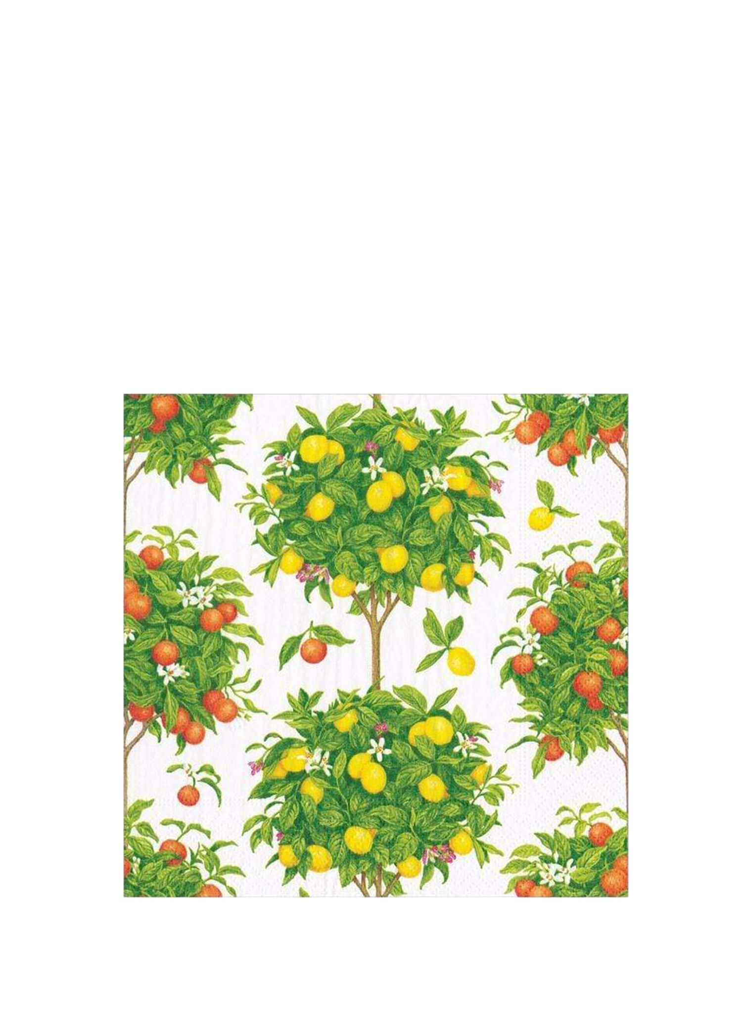 Citrus Topiaries Desenli 20'li Kağıt Peçete Seti