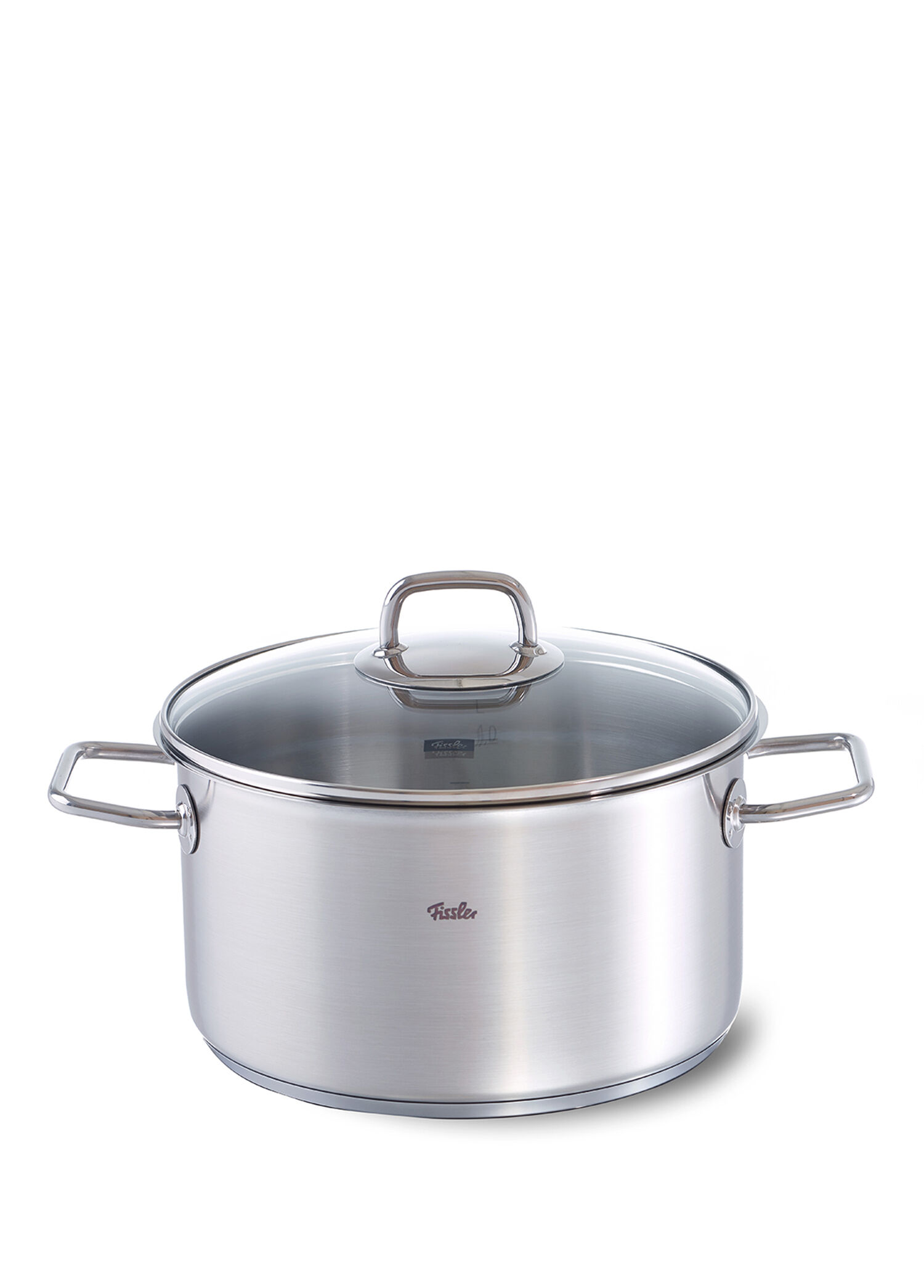 P Fissler Viseo Cam Kapak Celik Derin Tencere 24 Cm
