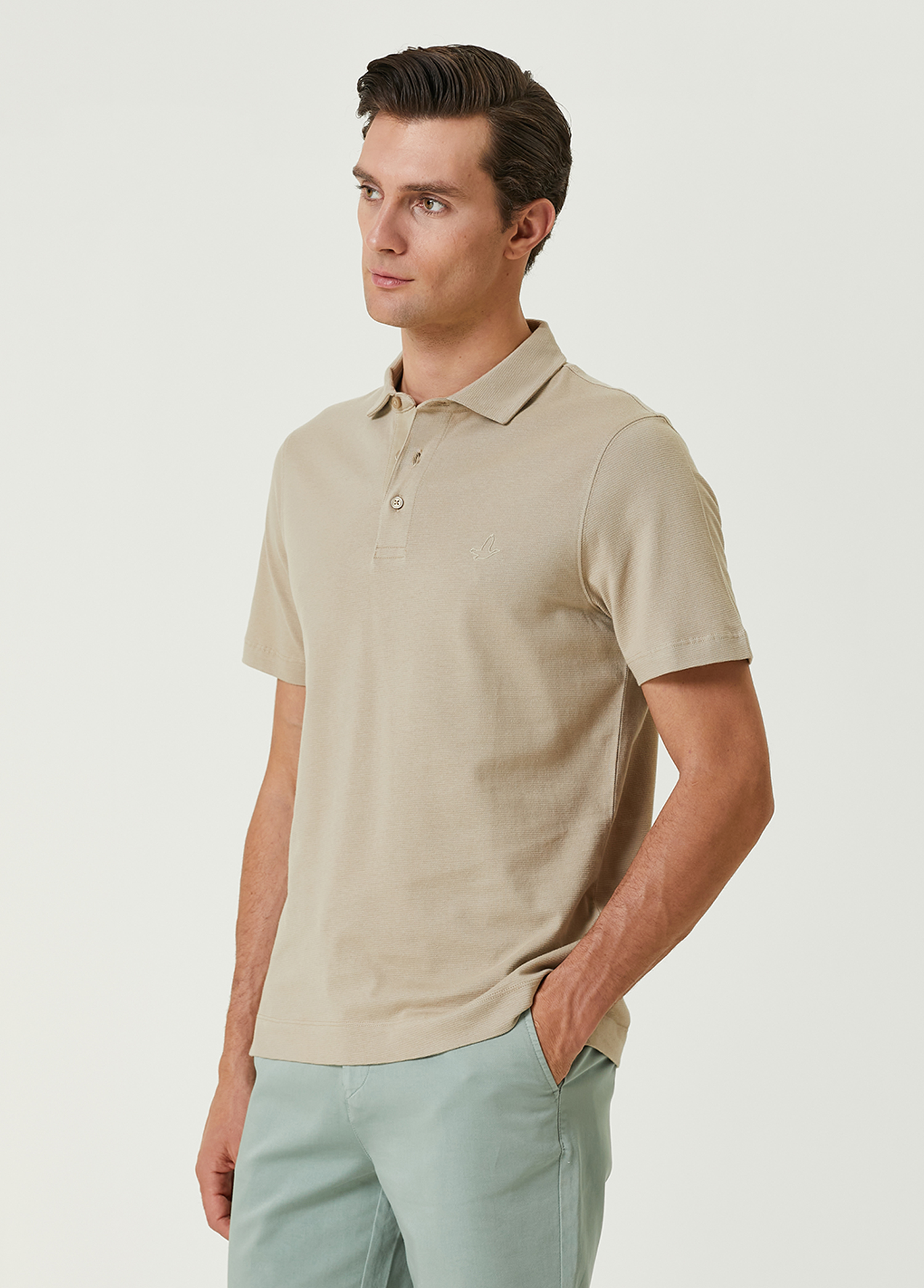 Comfort Fit Vizon Polo Yaka T-shirt_3