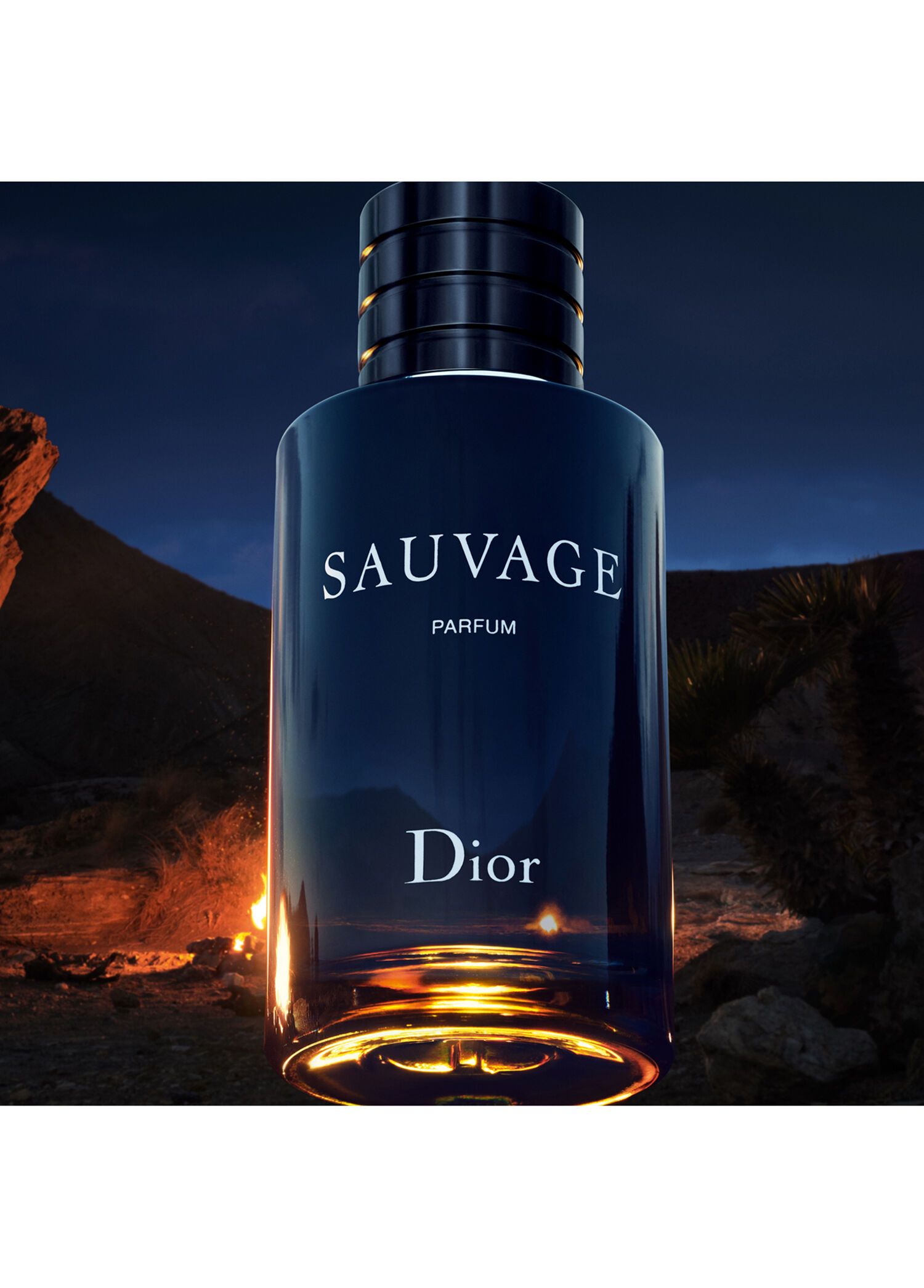 Dior - Sauvage 100 ml Erkek Parfüm - Renksiz