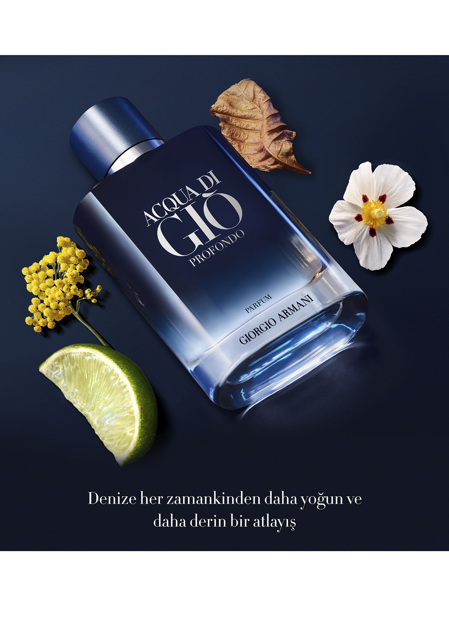 Giorgio Armani - Acqua Di Giò Profondo Parfüm 50 ml -