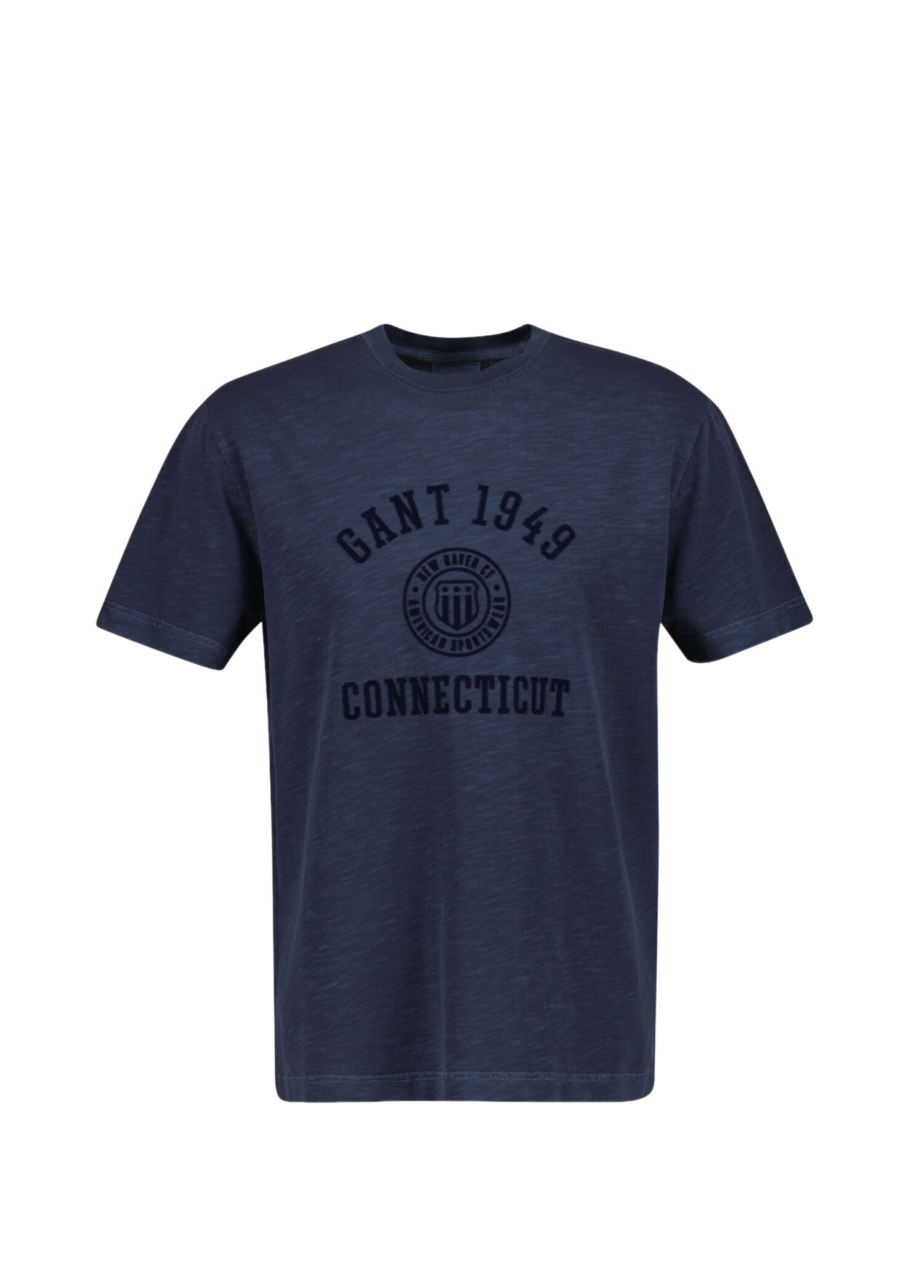 Baskılı Mavi Regular Fit Kısa Kollu Erkek T-Shirt