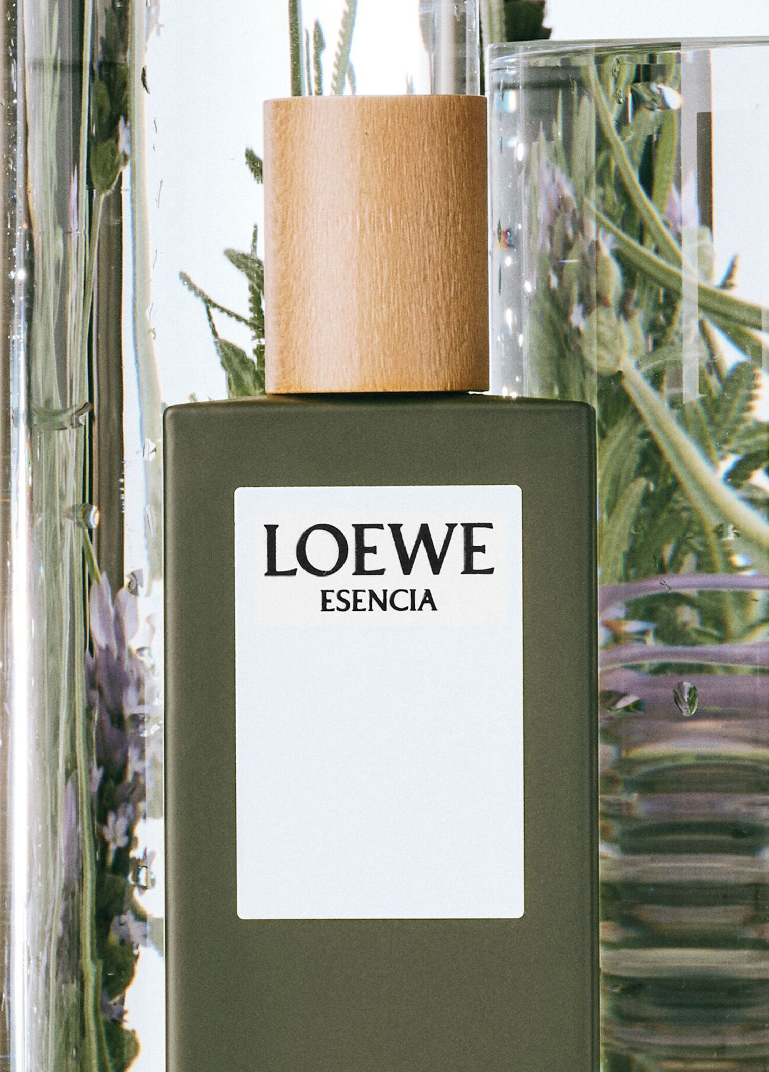 Loewe - Essencia EDT 100 ml Erkek Parfüm -
