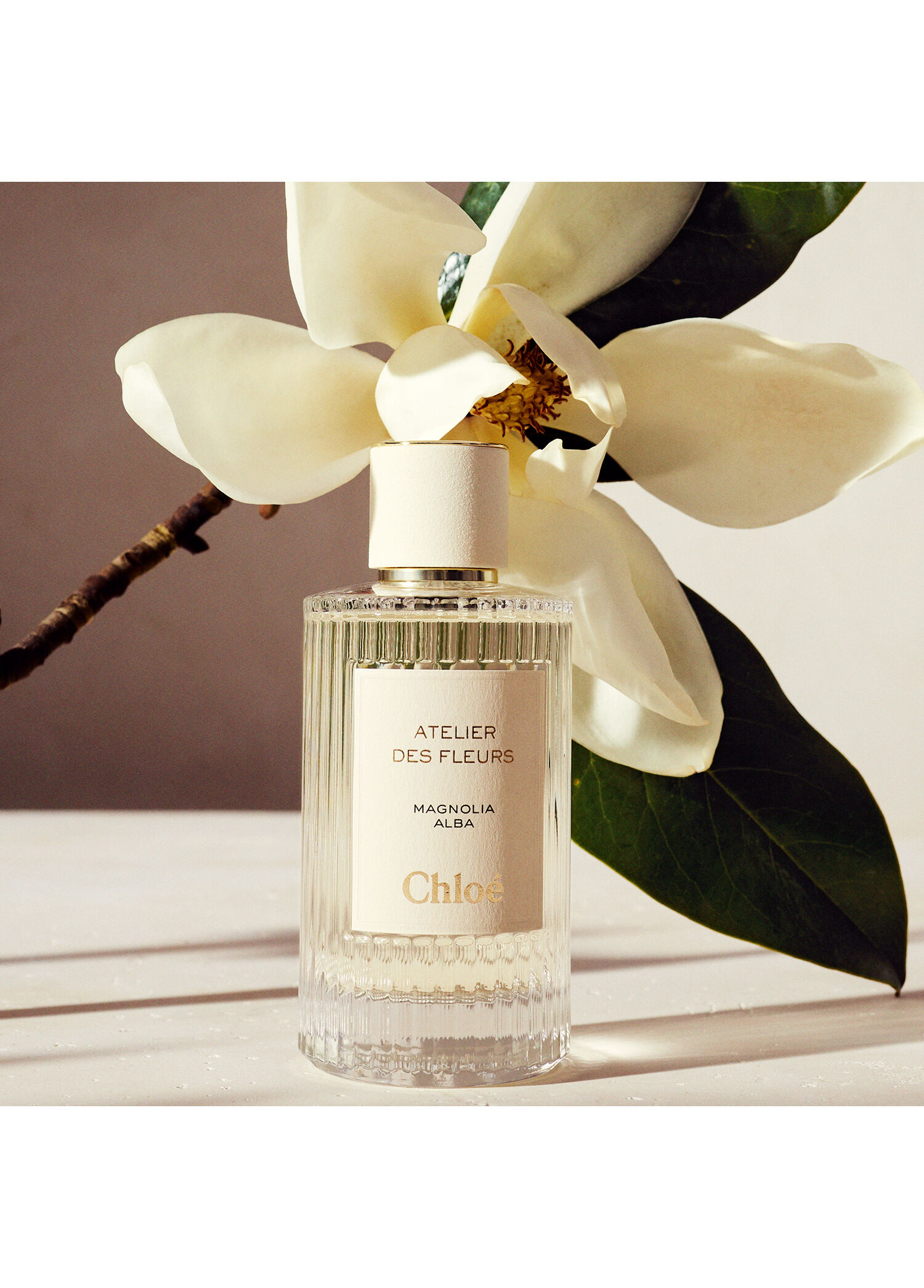 Chloe - Atelier des Fleurs Magnolia Alba Edp 50 ml -