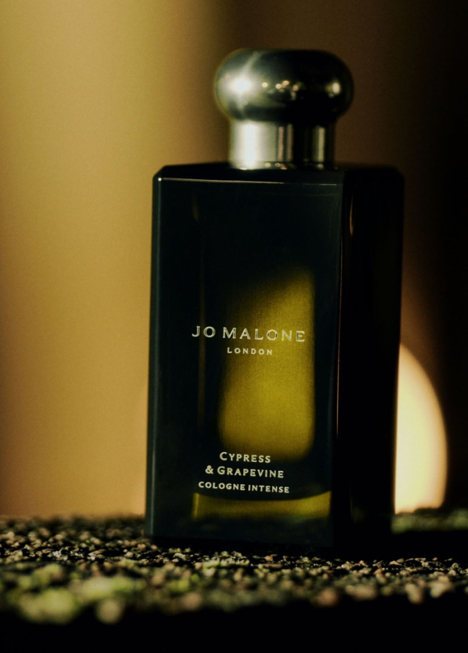 香水(男性用) JO MALONE Cypress & Grapevine 50ml Jo Malone London - Cypress & Grapevine Cologne Intense 50ml -
