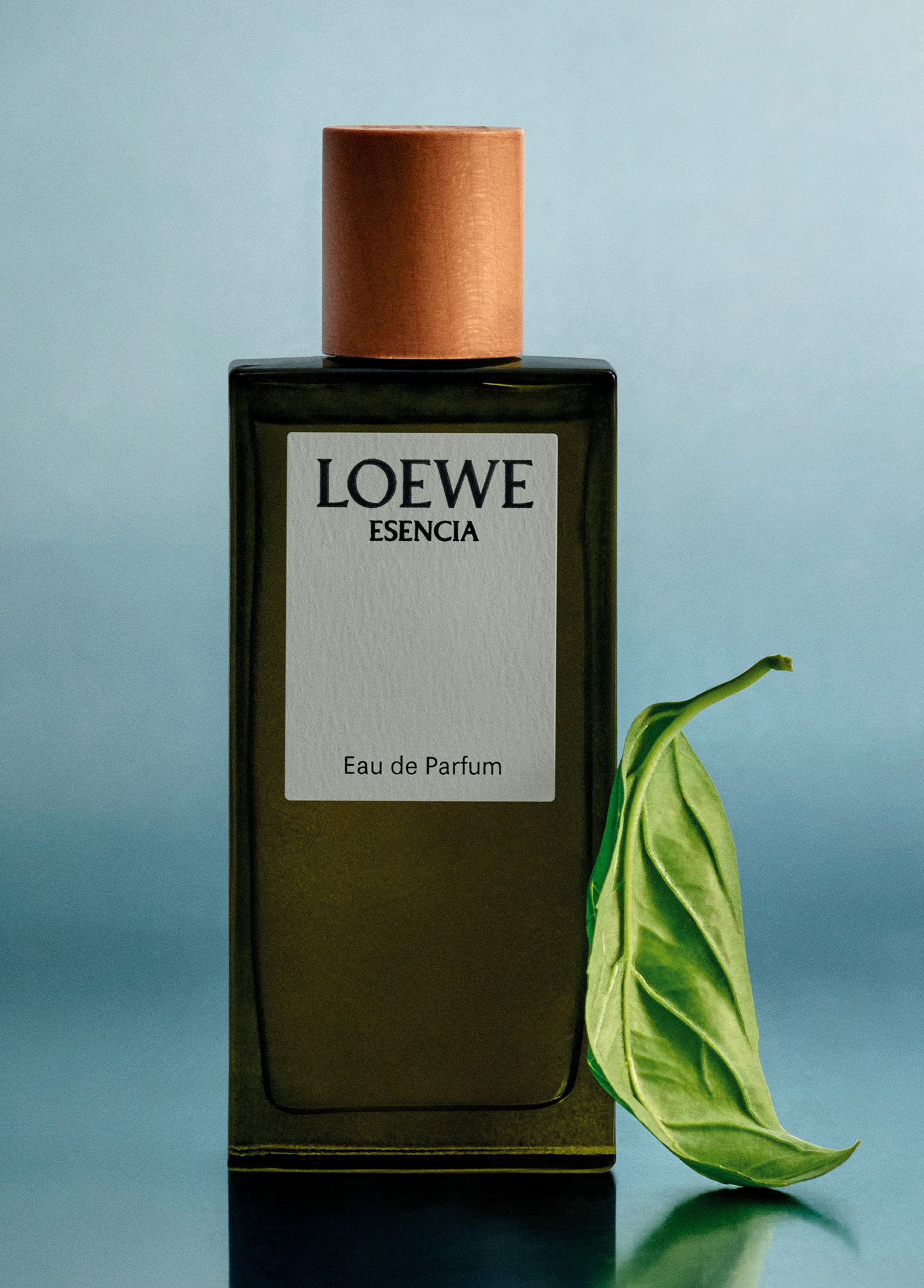 香水(男性用) LOEWE ESENCIA Eau de Parfum 100ML Loewe - Essencia EDP 100 ml Erkek Parfüm -