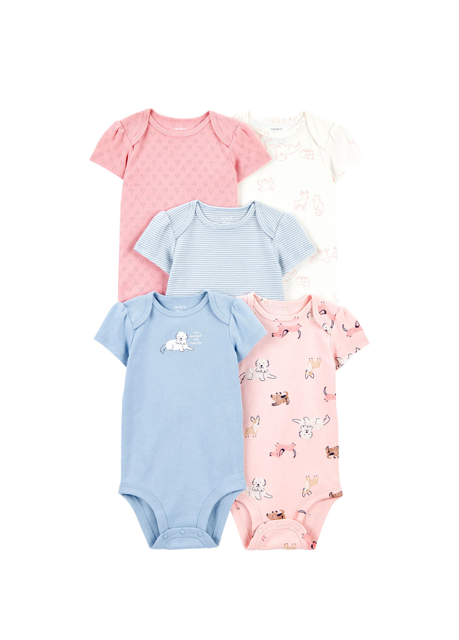 Renkli Pamuklu Çıtçıtlı Kısa Kollu Kız Bebek 5'li Body Seti
