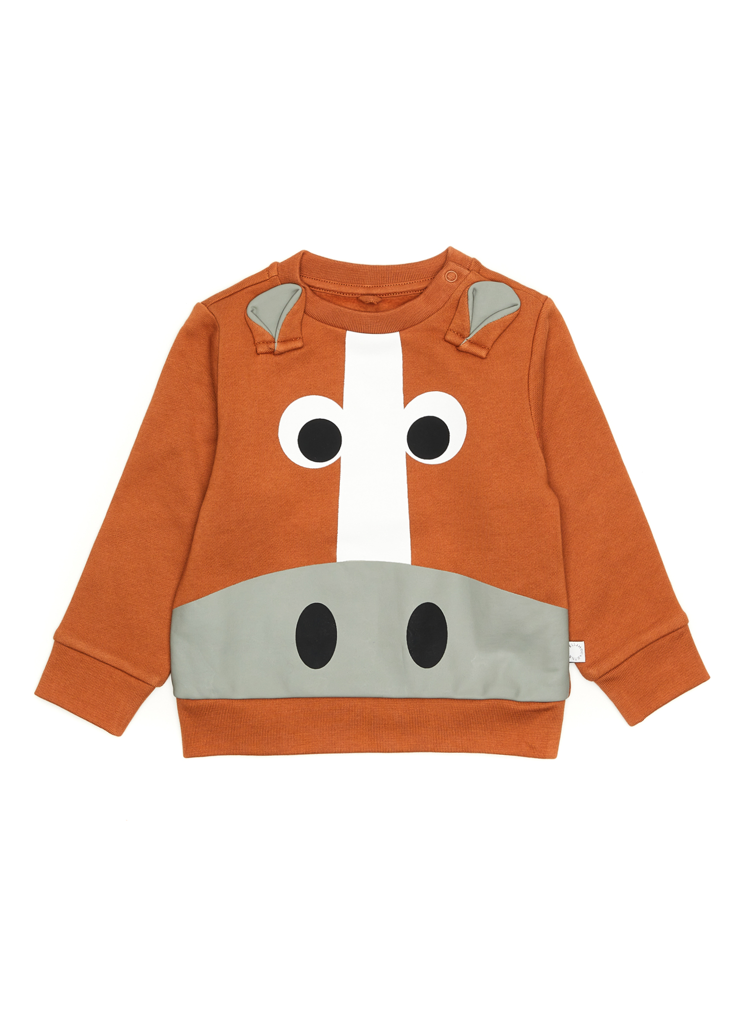 Kahverengi Erkek Bebek Sweatshirt