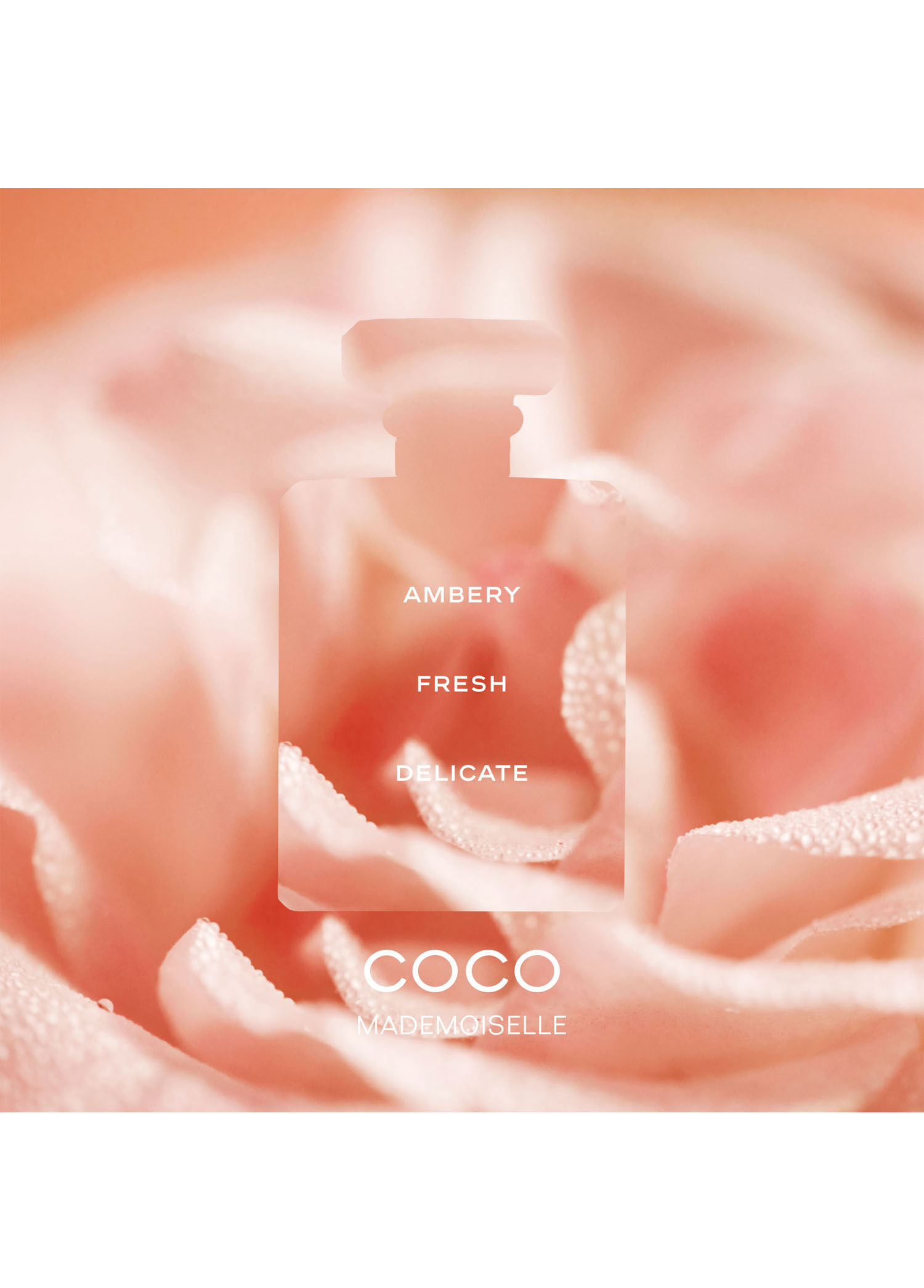 CHANEL - Coco Mademoiselle L'Eau Privee Gece Parfümü 100Ml -