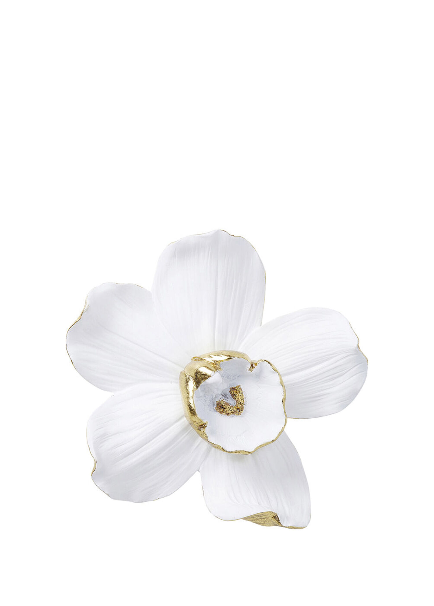 Orchid White Duvar Dekoru