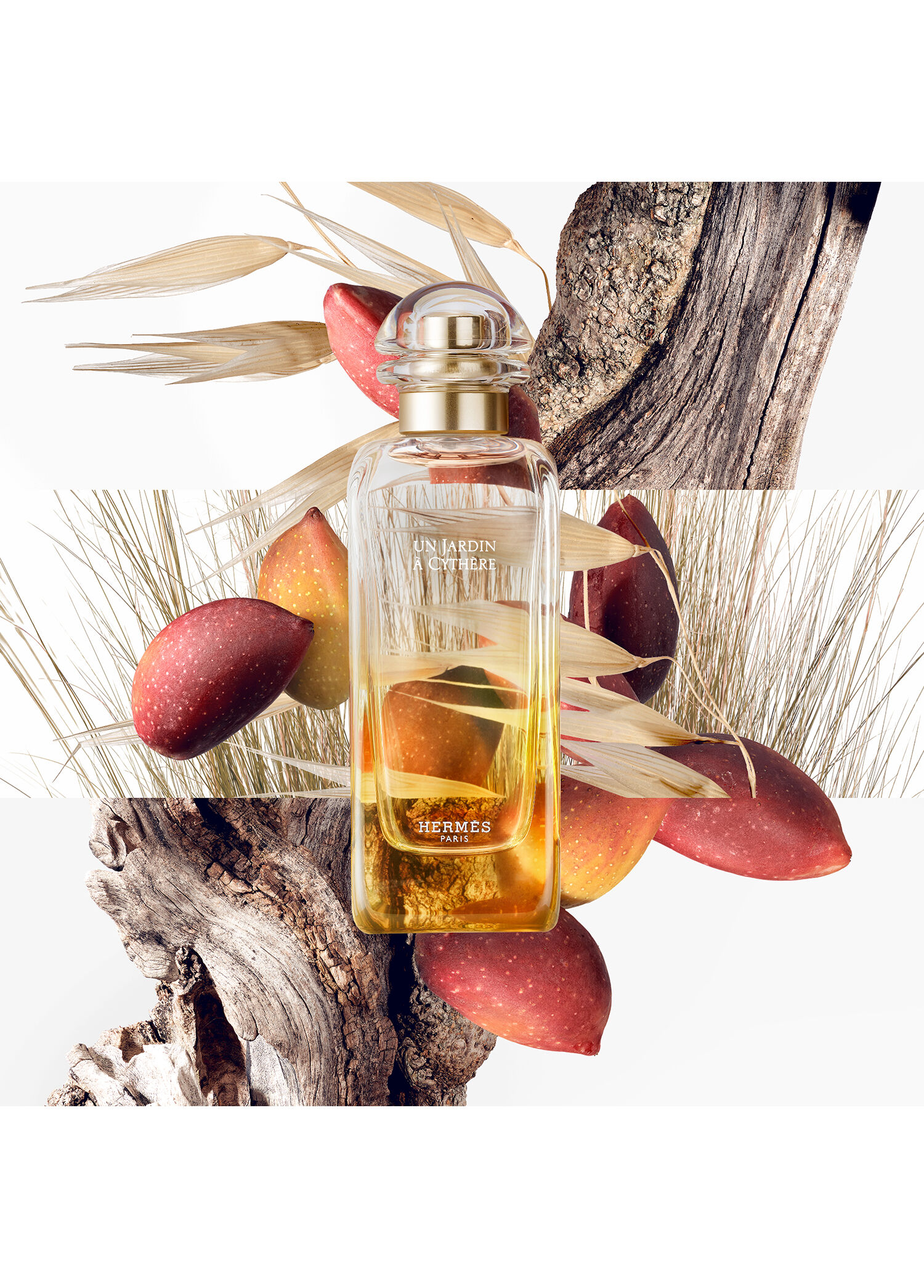 香水(ユニセックス) HERMES Collection Parfume-Jardins Hermès - Un Jardin à Cythère Eau de toilette 100ml -