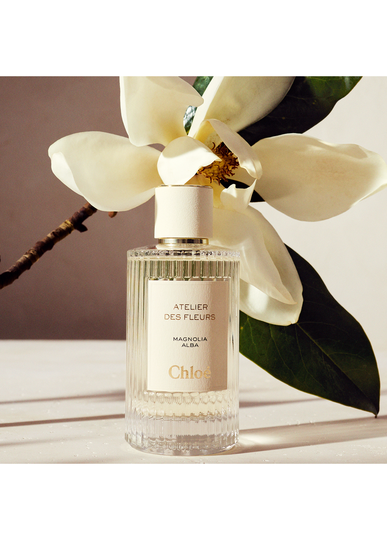 Chloe - Atelier des Fleurs Magnolia Alba Edp 150 ML -