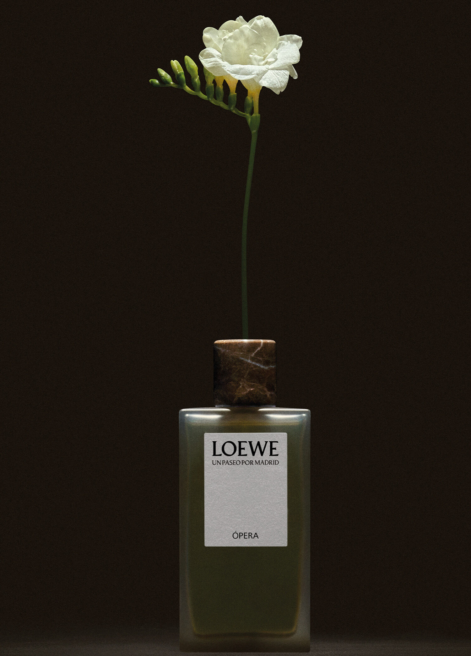 Loewe - Loewe Opera Edp 150 ml