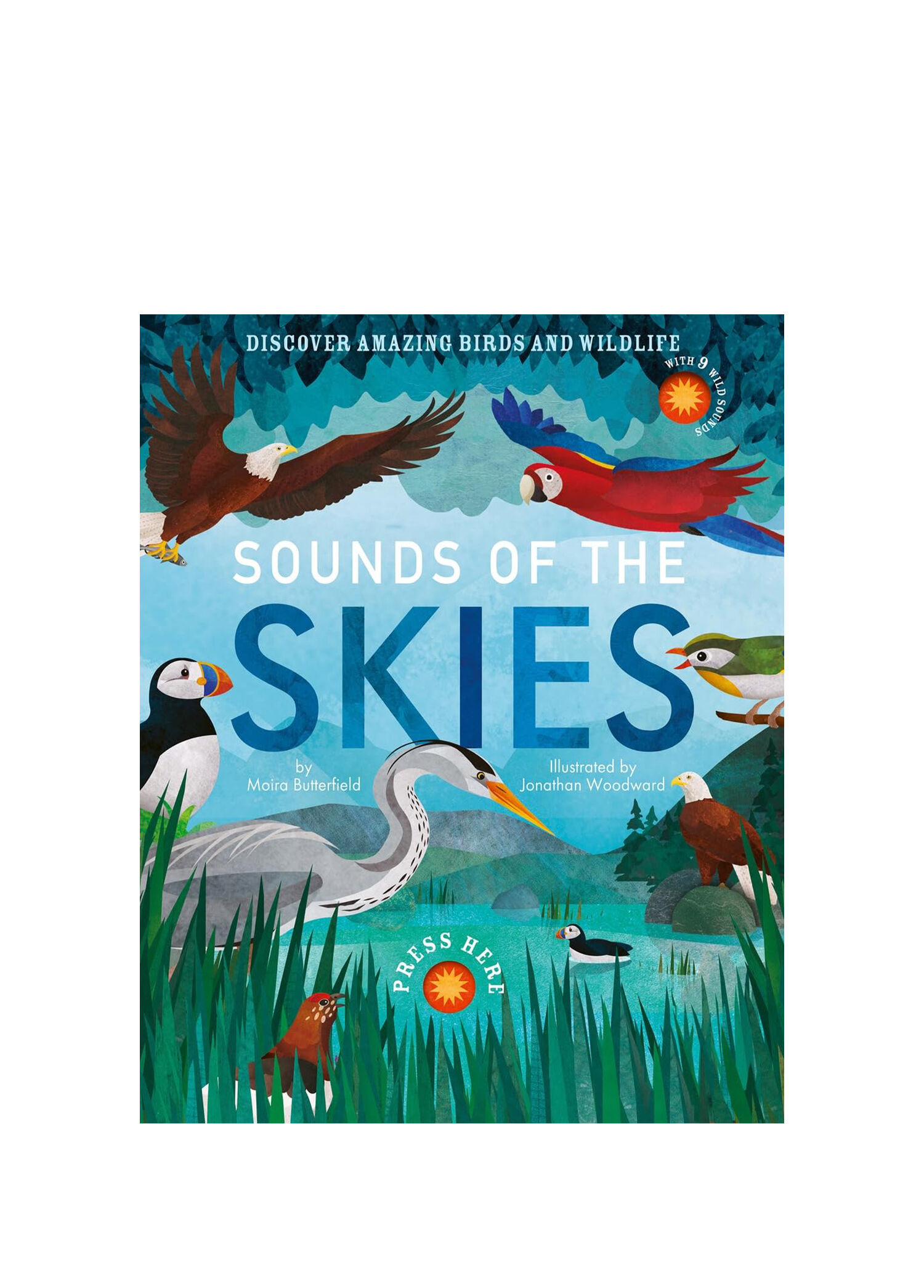 Sounds of the Skies Çocuk Yabancı Dil Kitabı