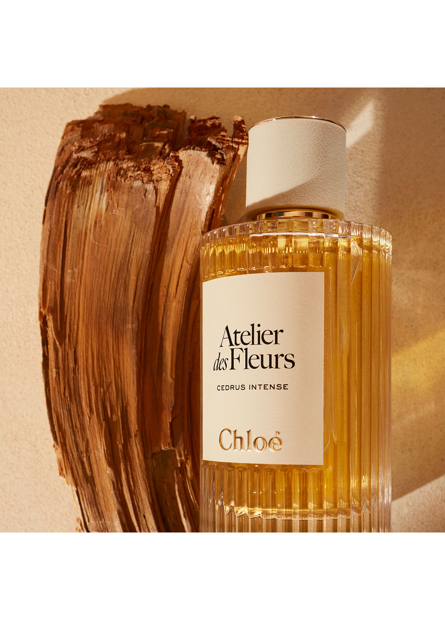 Chloe - Atelier des Fleurs Cedrus Intense EDP 50 ml -