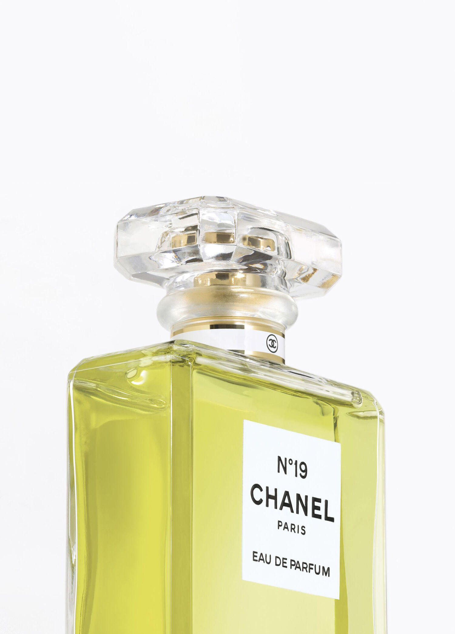 CHANEL N°19 Eau de Parfum 100ml CHANEL - N°19 Eau De Parfüm Spray 100Ml -