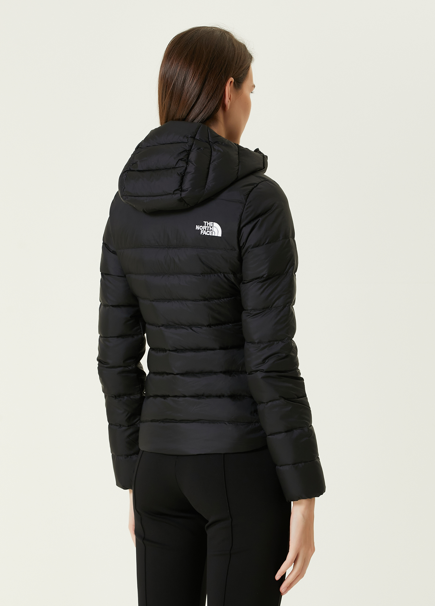 The north face women's sales aconcagua parka