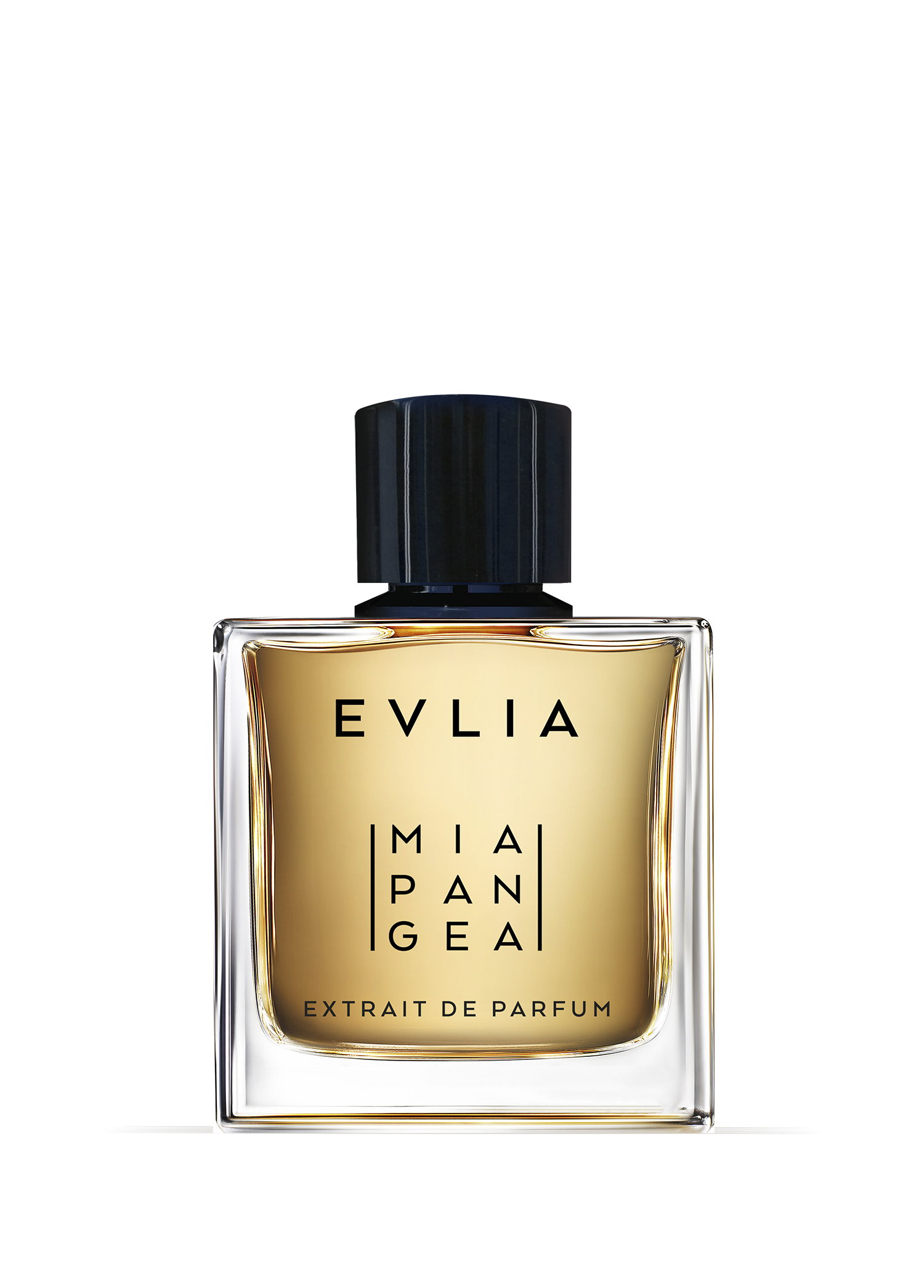 Evlia Extrait de Parfum 100 ml Unisex Parfum