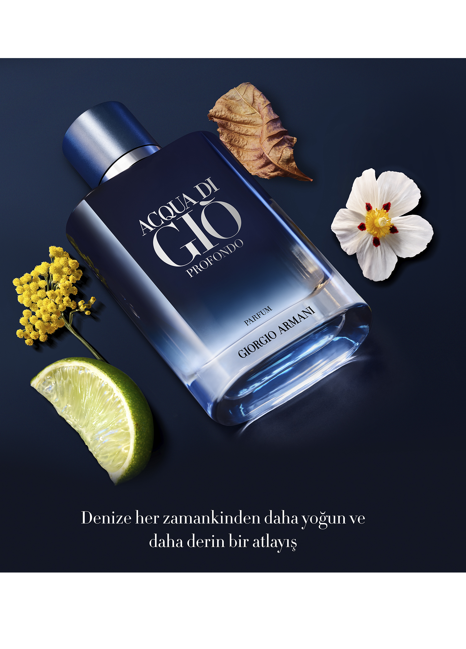 Giorgio Armani - Acqua Di Giò Profondo Parfüm 200 ml -