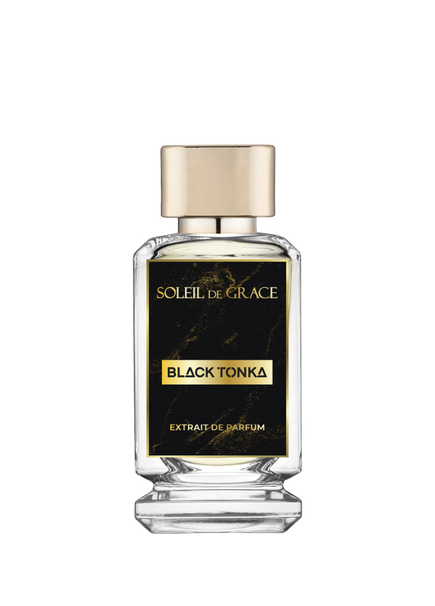 Black Tonka Exclusive EDP Erkek Parfüm 100 ml