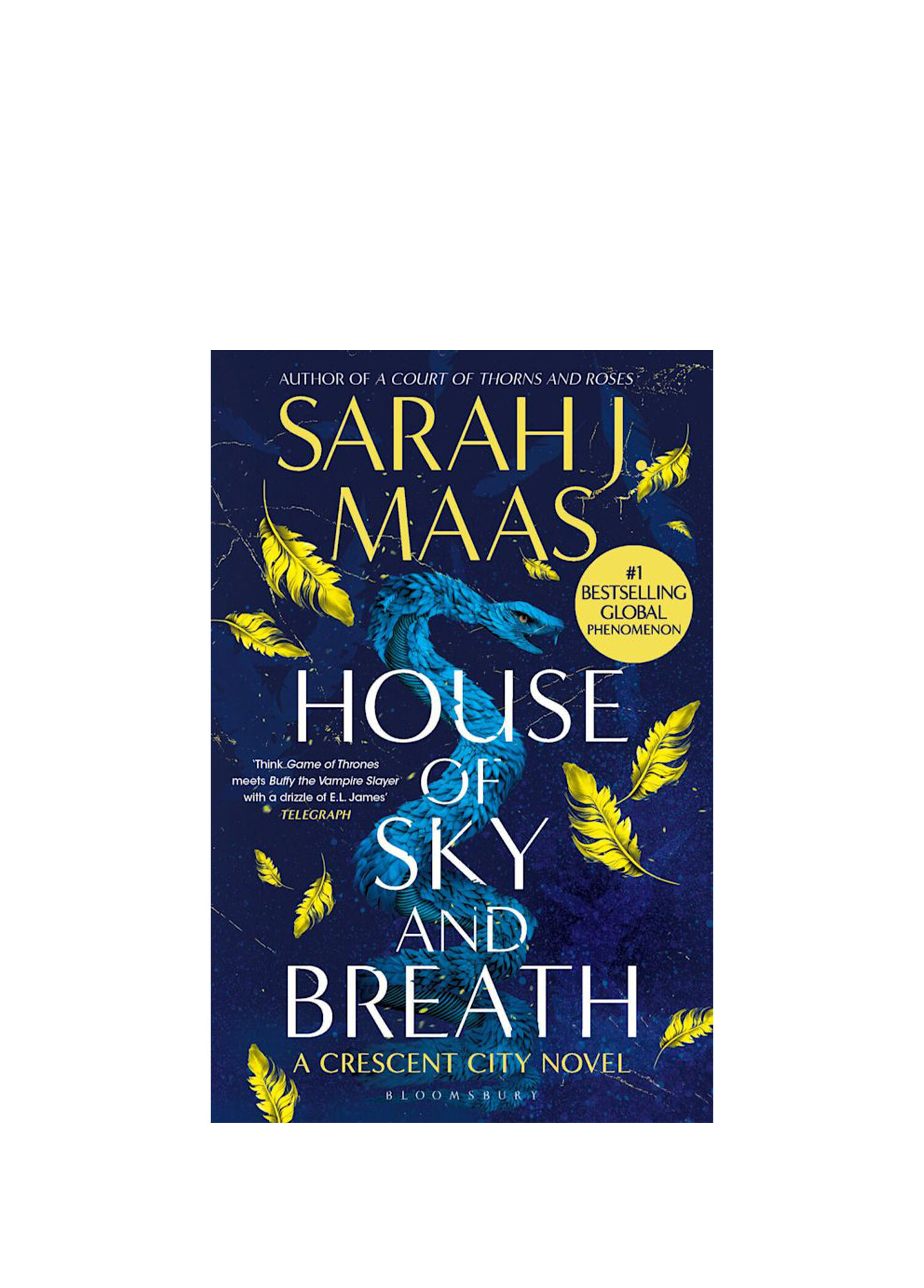 House of Sky And Breath Yabancı Dil Kitabı