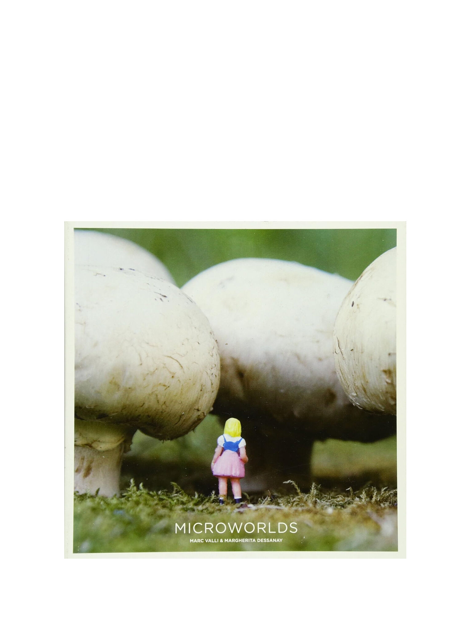 Microworlds Yabancı Dil Kitabı
