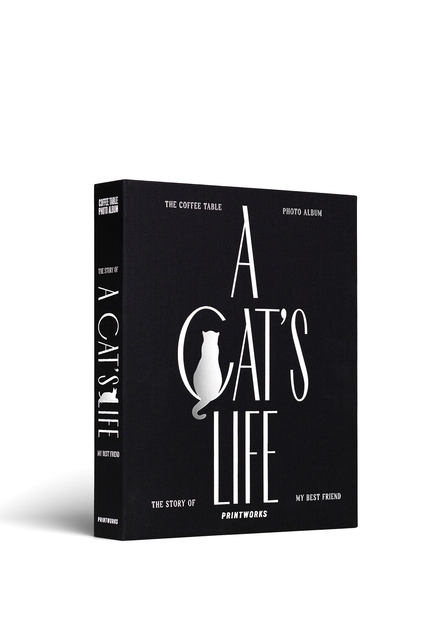 A Cat's Life Siyah Fotoğraf Albümü