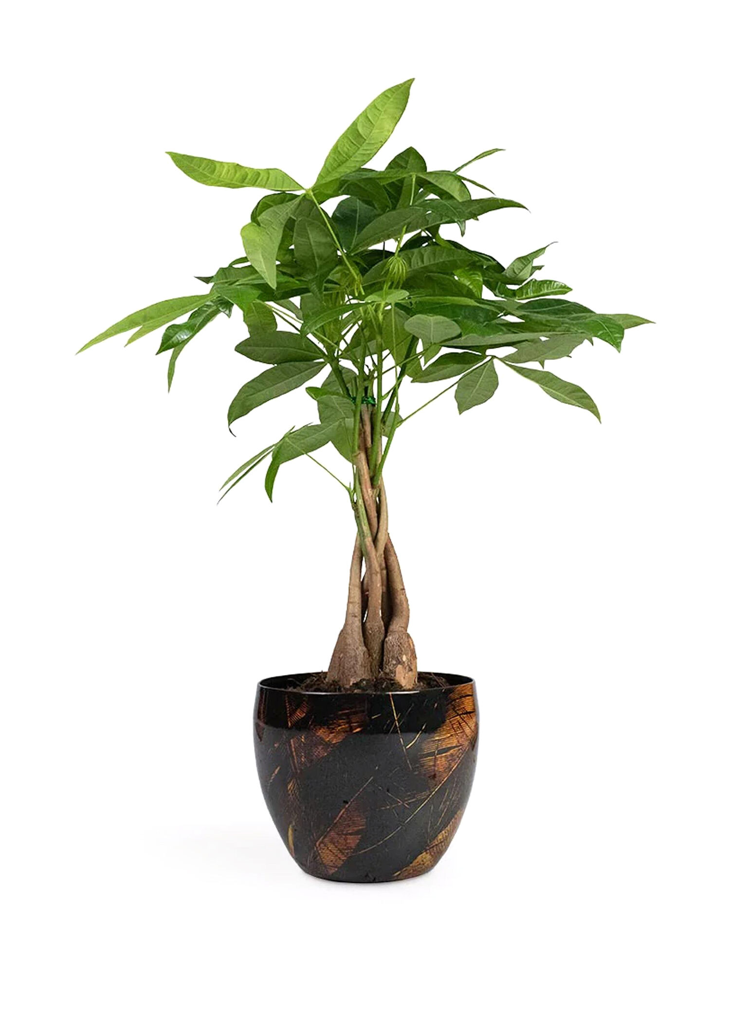 Vive El Yapımı Metal L Saksı 21x16 cm